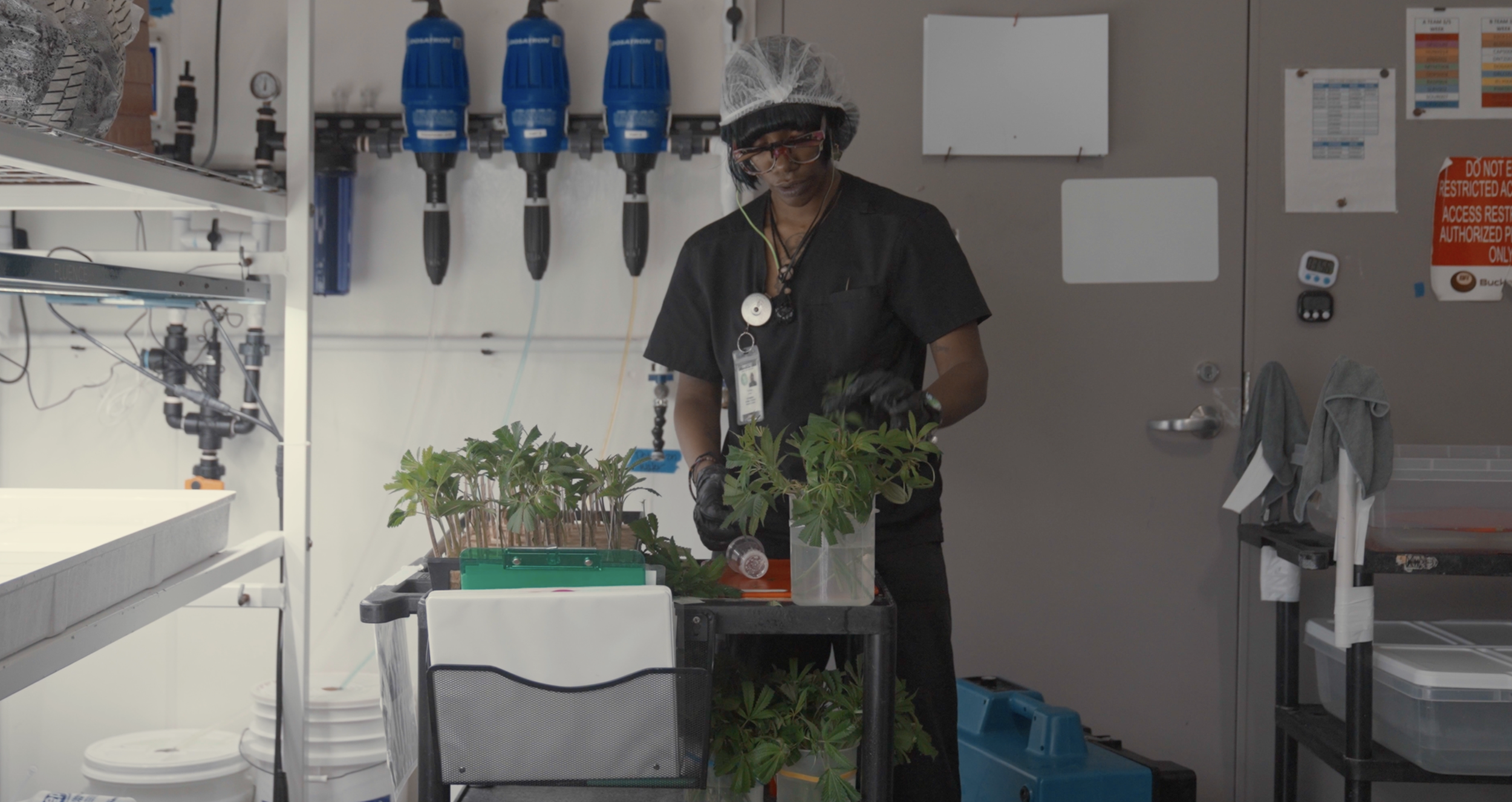 From Day One: Our Brand Film with Buckeye Relief