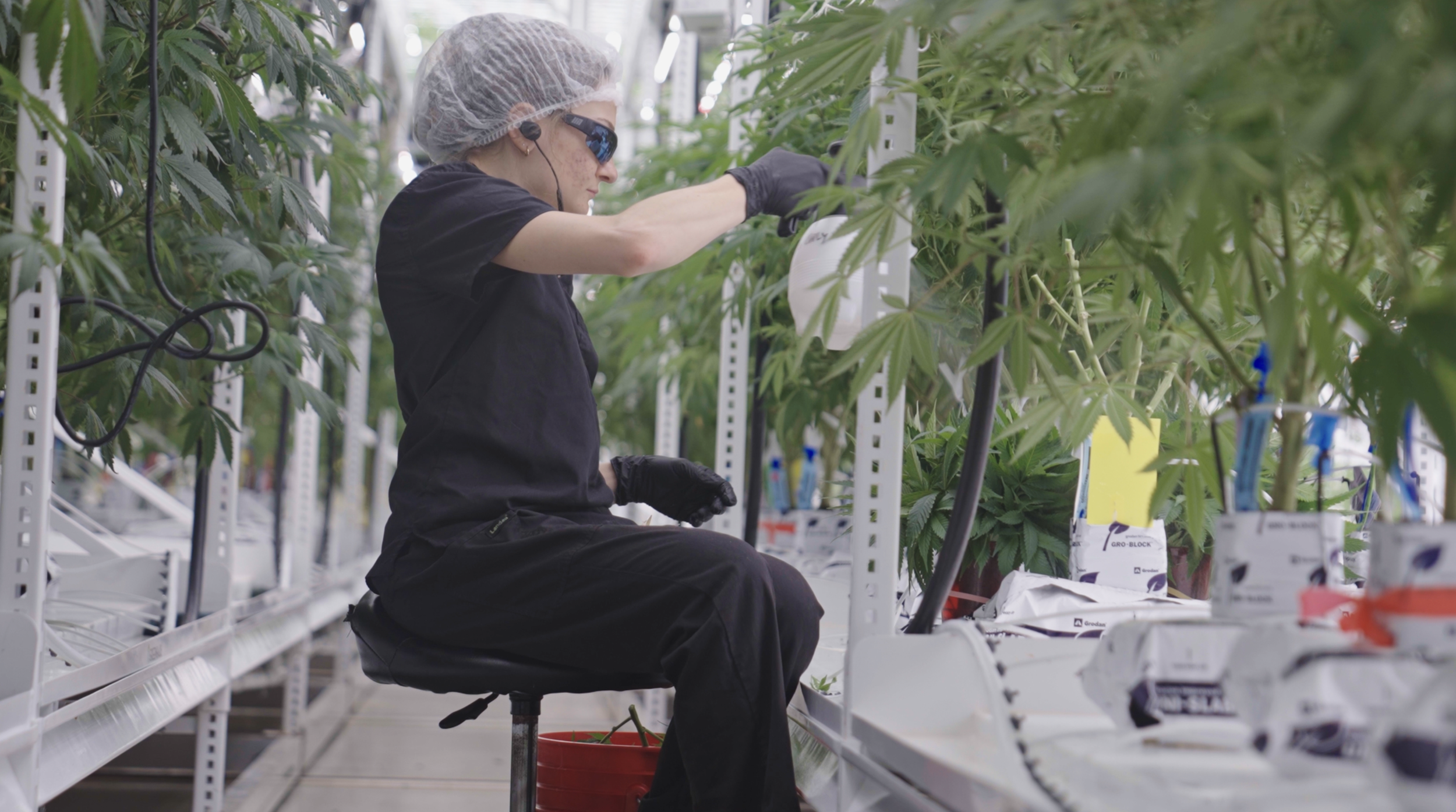 Screenshot 2026-03-14 at 8.09.12 AM.png