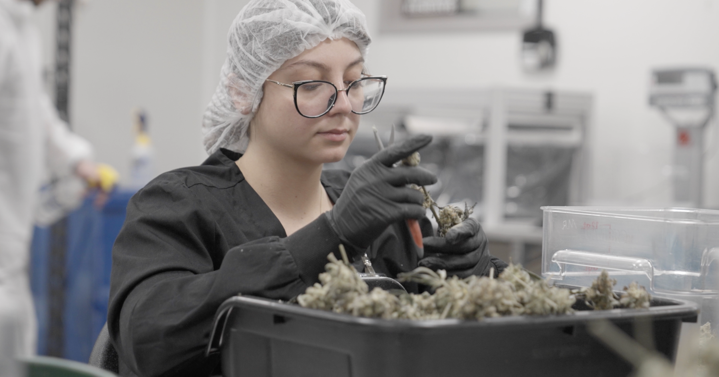 Case Study | Brand Film: Buckeye Relief’s Rebrand for the Recreational Era