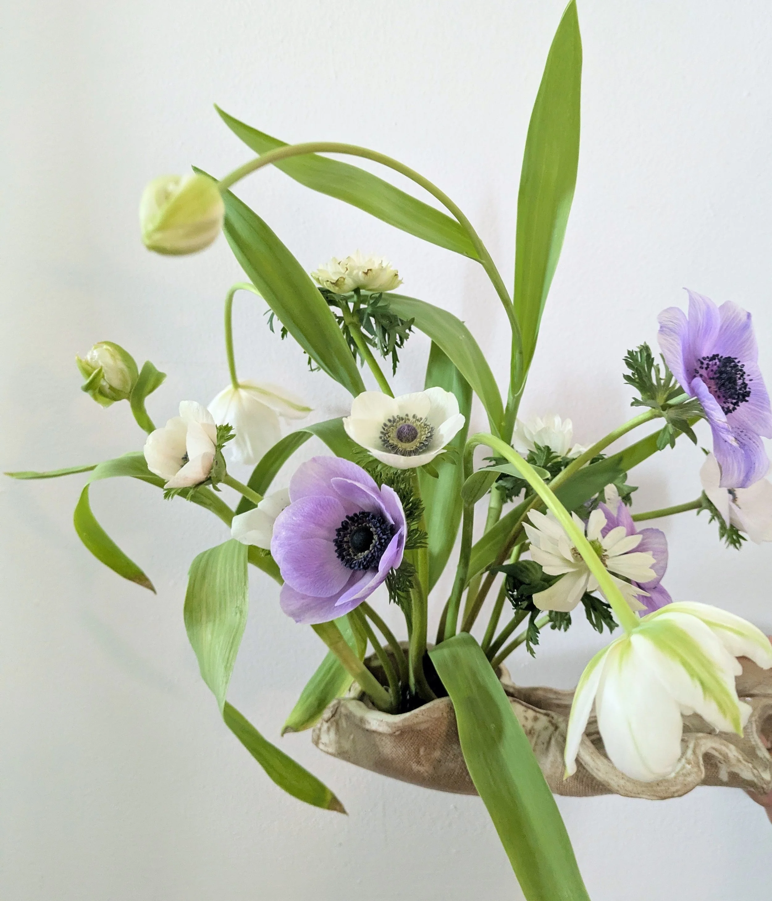 PXL_20260419_165630280 (1).jpg