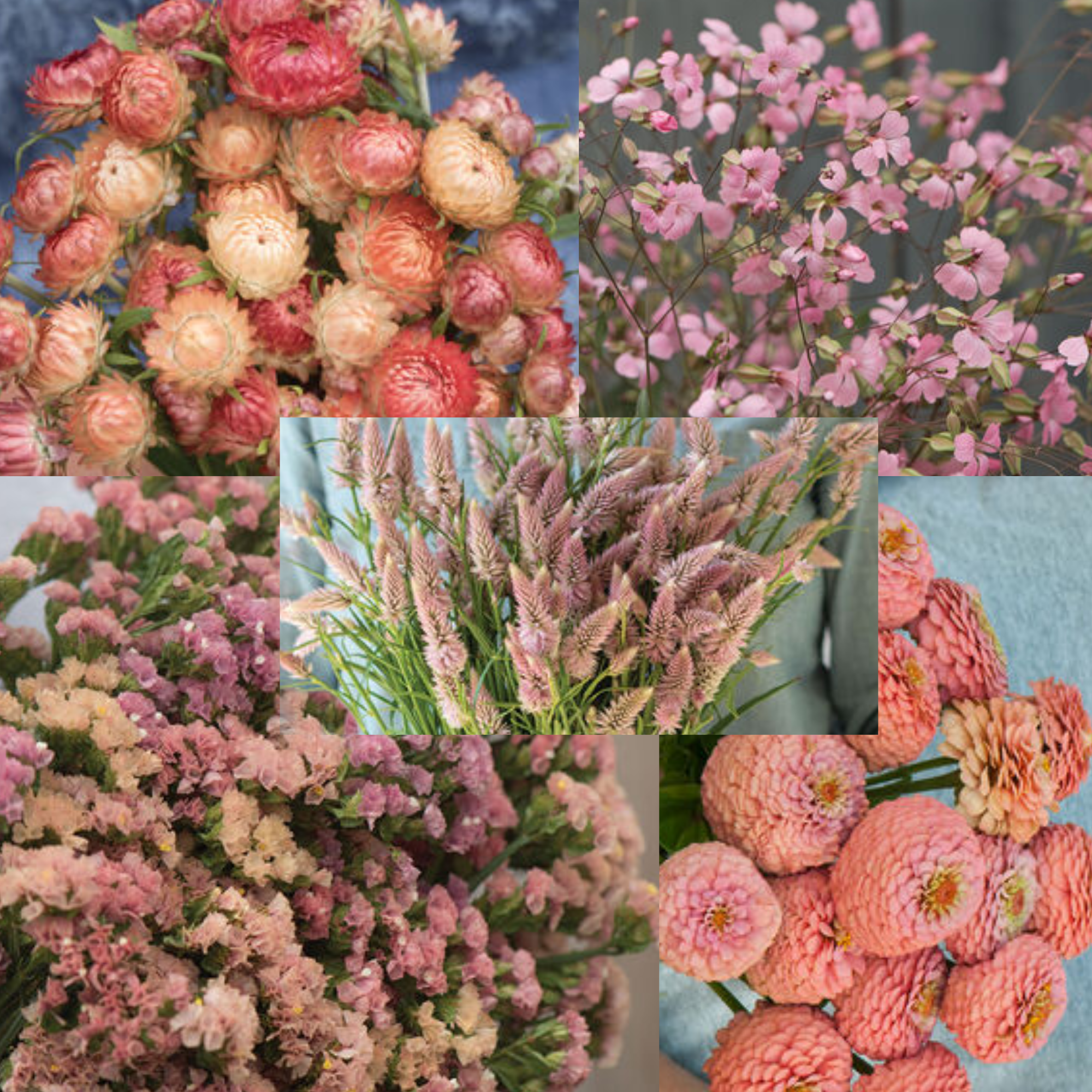 Untitled design (2).png