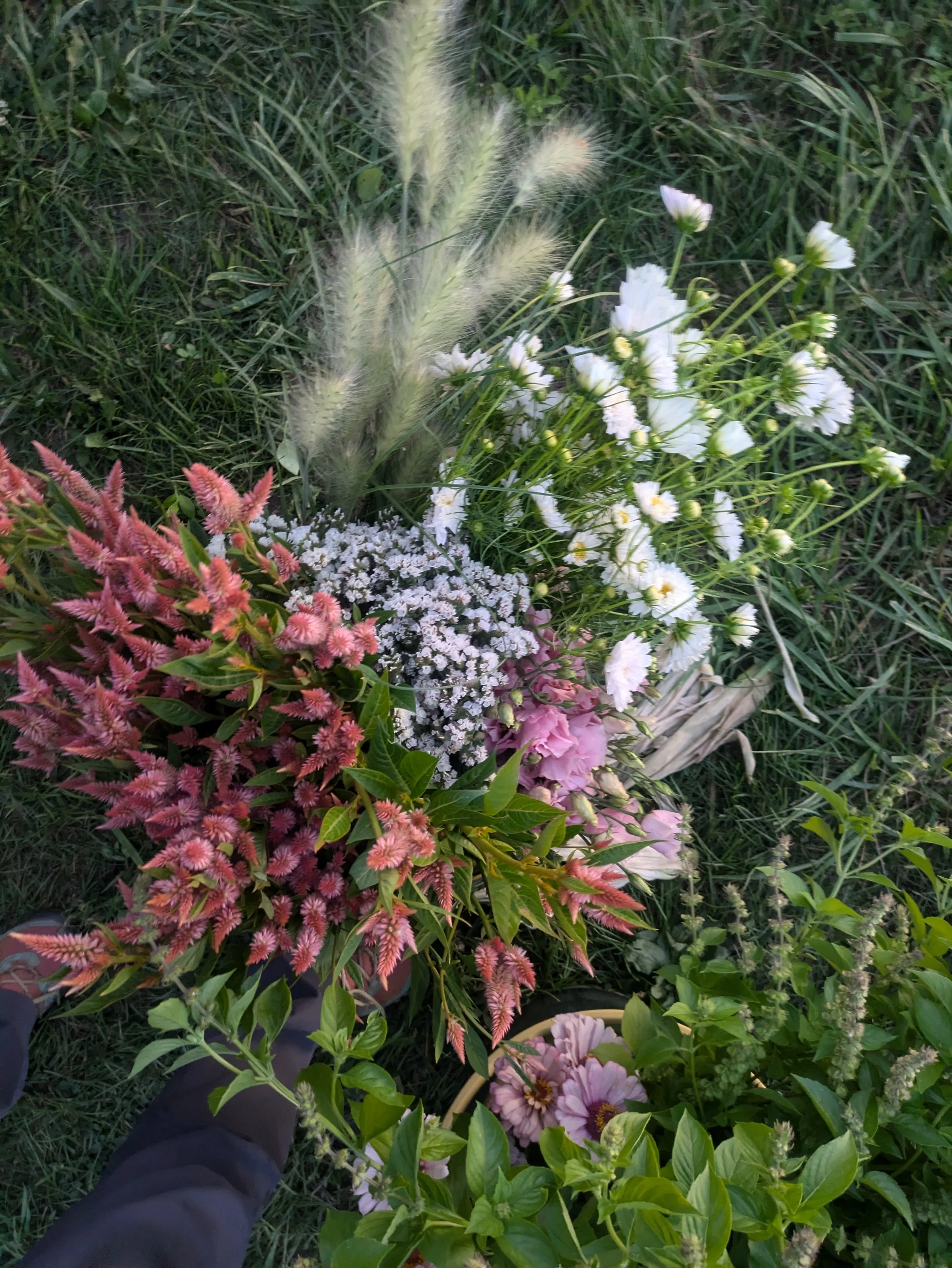 PXL_20240727_002249533.jpg