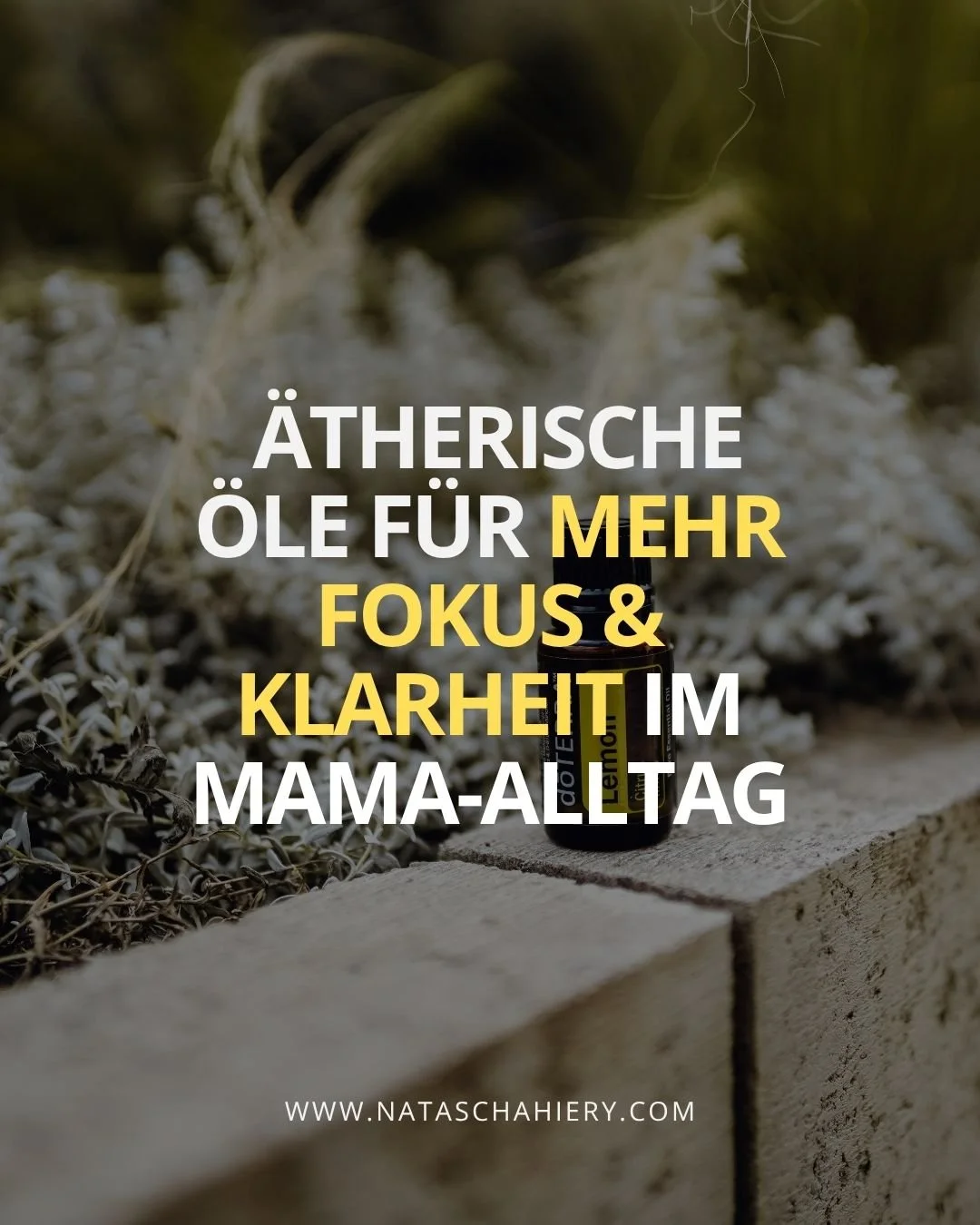 Kennst du das auch?

Kaum sind die Kinder vom Kindergarten zuhause, fliegen die Emotionen. Deine, ihre &ndash; alles auf einmal. Und du merkst, wie dein Nervensystem v&ouml;llig &uuml;berfordert ist.
Du reagierst gereizt, obwohl du&rsquo;s gar nicht 
