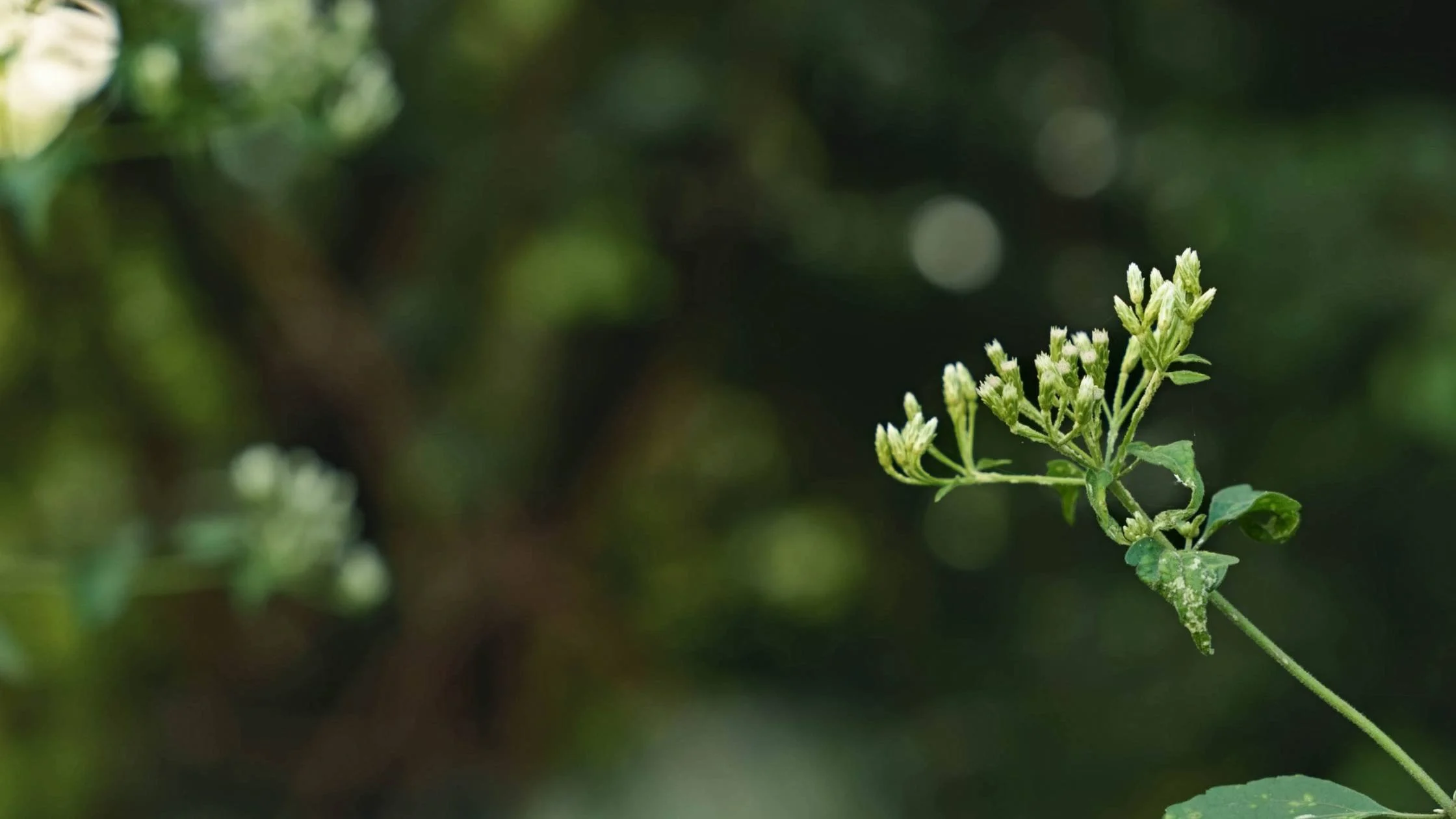 Warum deine Stimmung ständig kippt – und was dein Serotonin damit zu tun hat