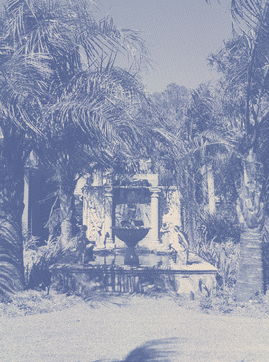 Palm trees surrounding fountain