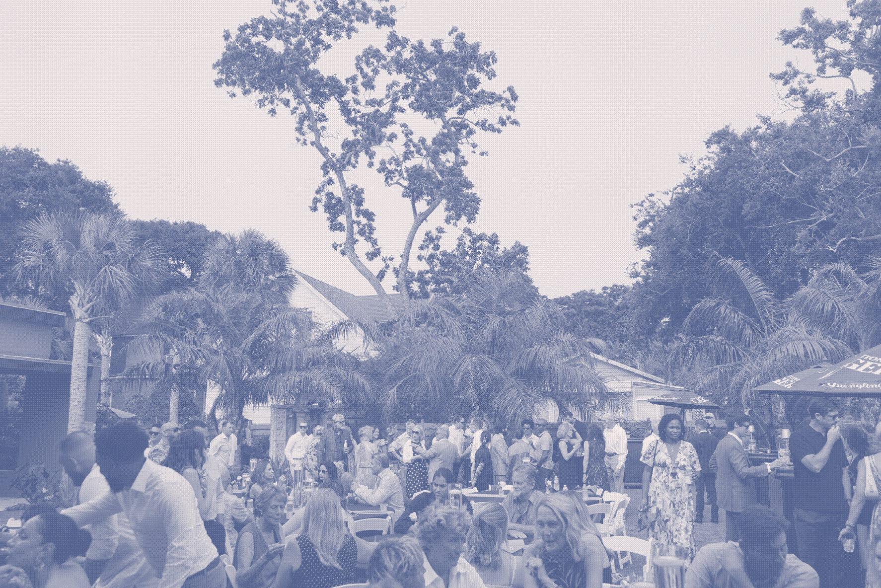large number of guests socializing during cocktail hour on the lawn
