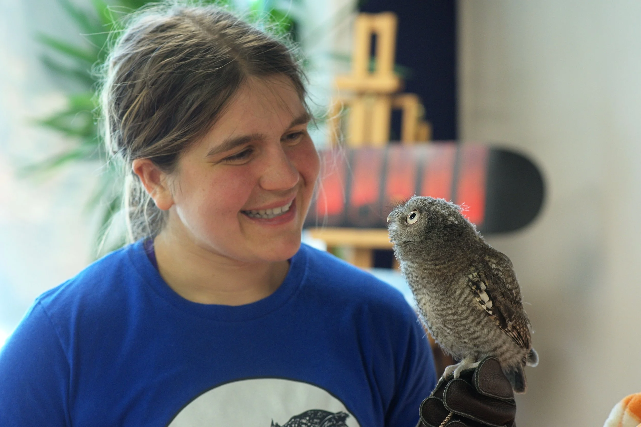 A woman with light brown hair, wearing a blue shirt, smiling and looking at a small grey owl with big eyes perched on her gloved hand.
