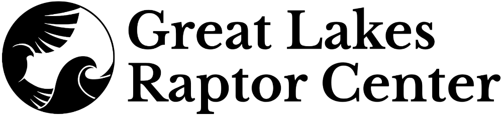 Black and white digital illustration of a robot with a head, body, arms, and legs, standing on a tree branch.