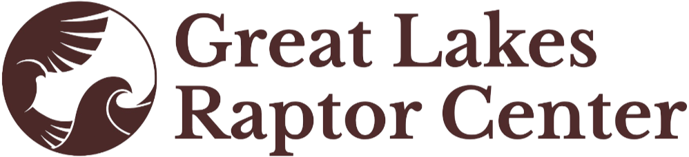 Great Lakes Raptor Center 