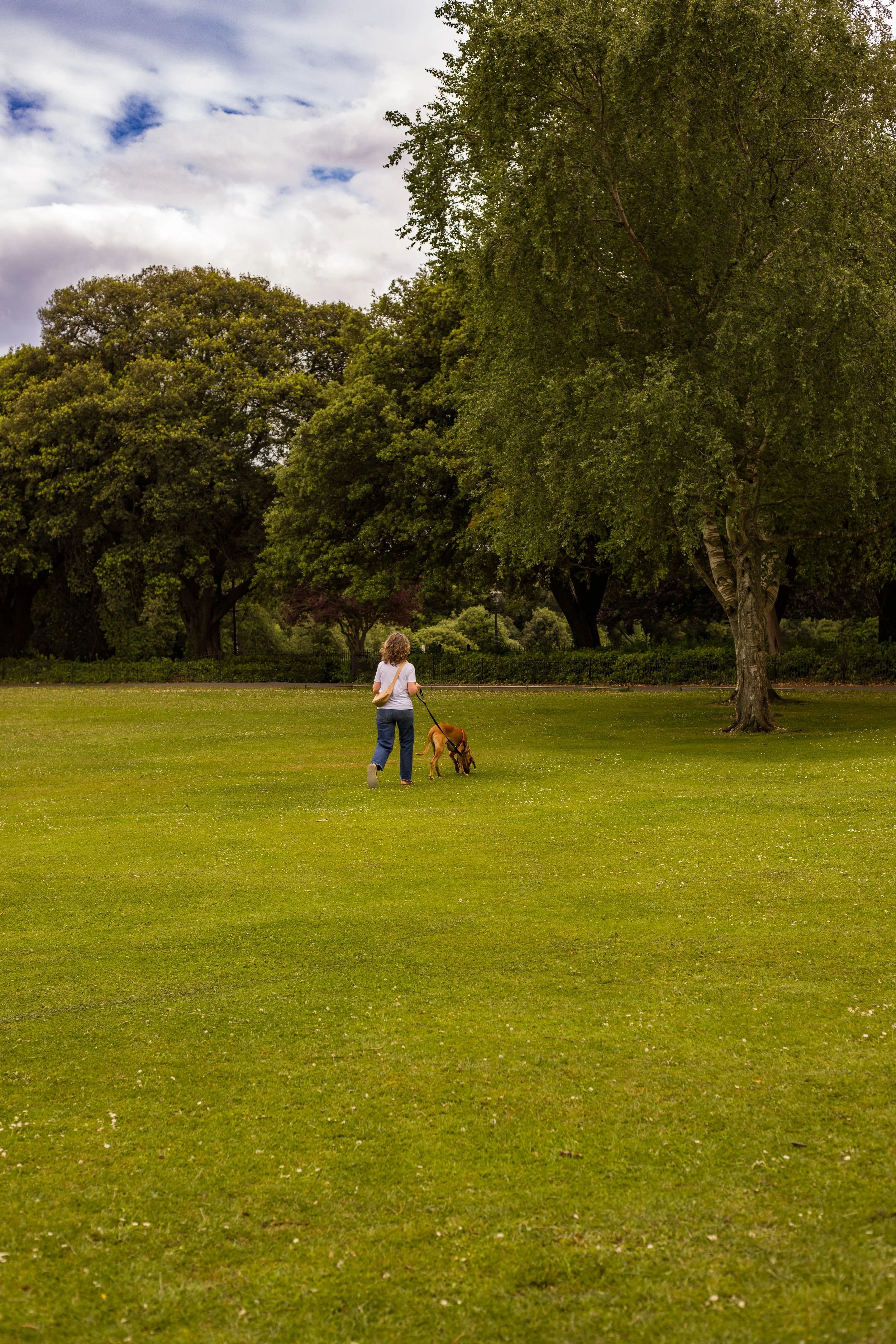Person walking a dog across a grassy park surrounded by trees under a cloudy sky