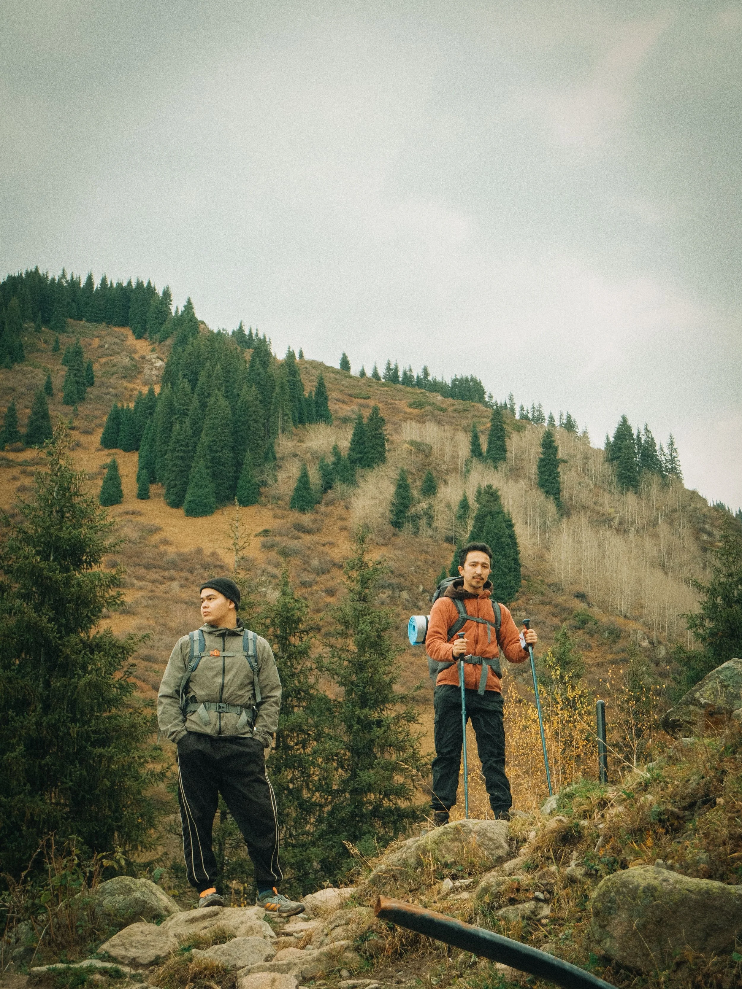 Two hikers with backpacks and trekking poles standing on a rocky, forested mountain slope at Amy Stetsons  Virtual Clinic Yarrow Functional Wellness