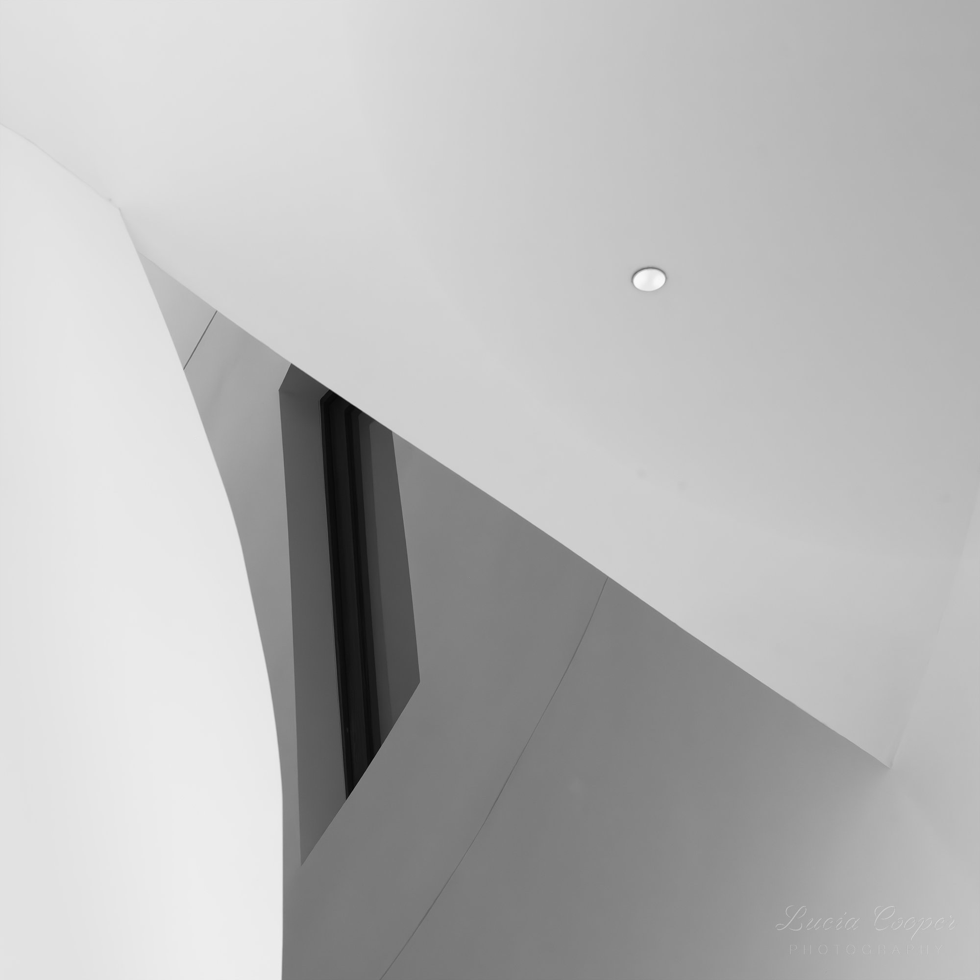 Peter B Lewis Building, Frank Gehry