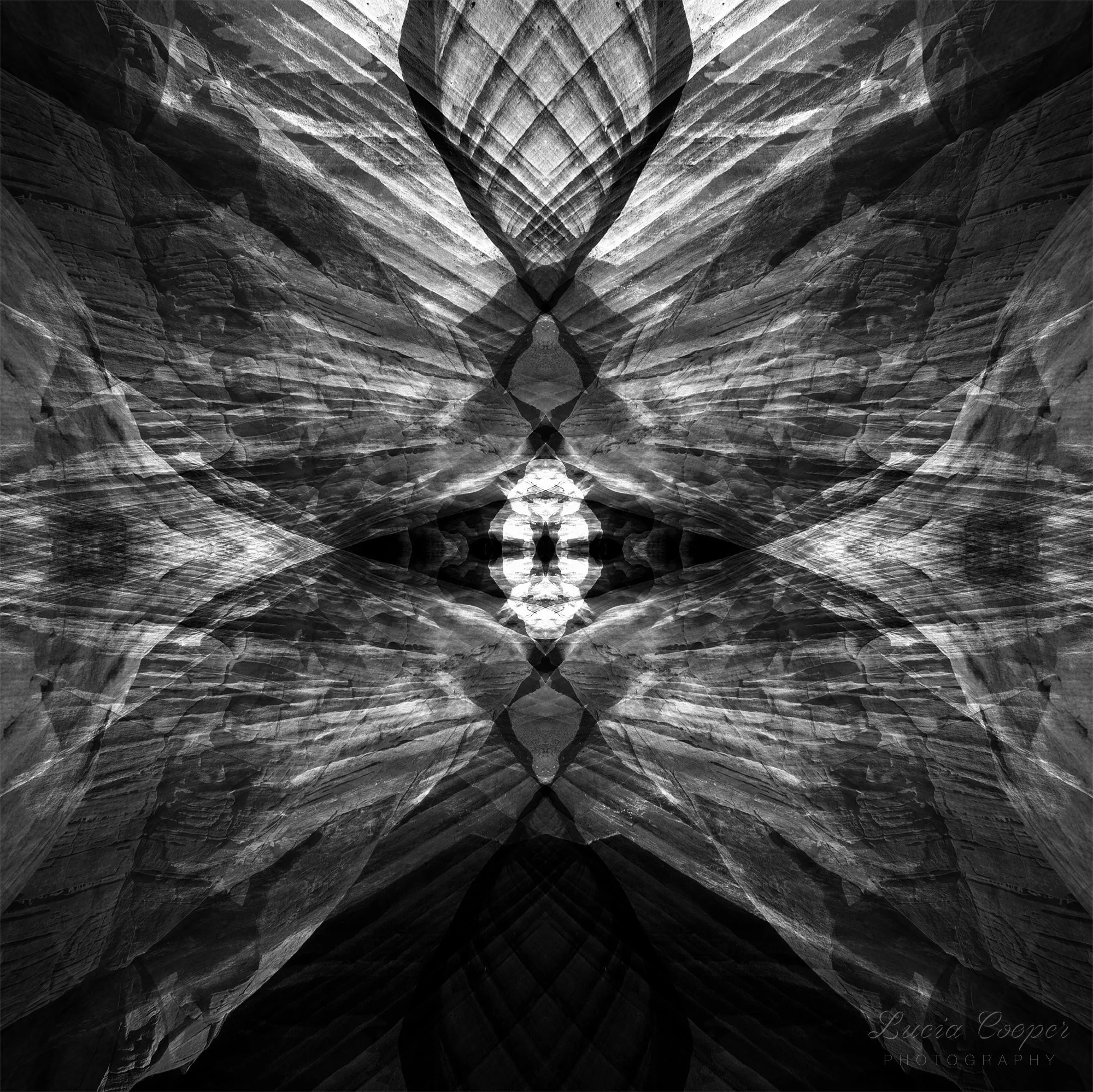 Butterfly - B&W - Square