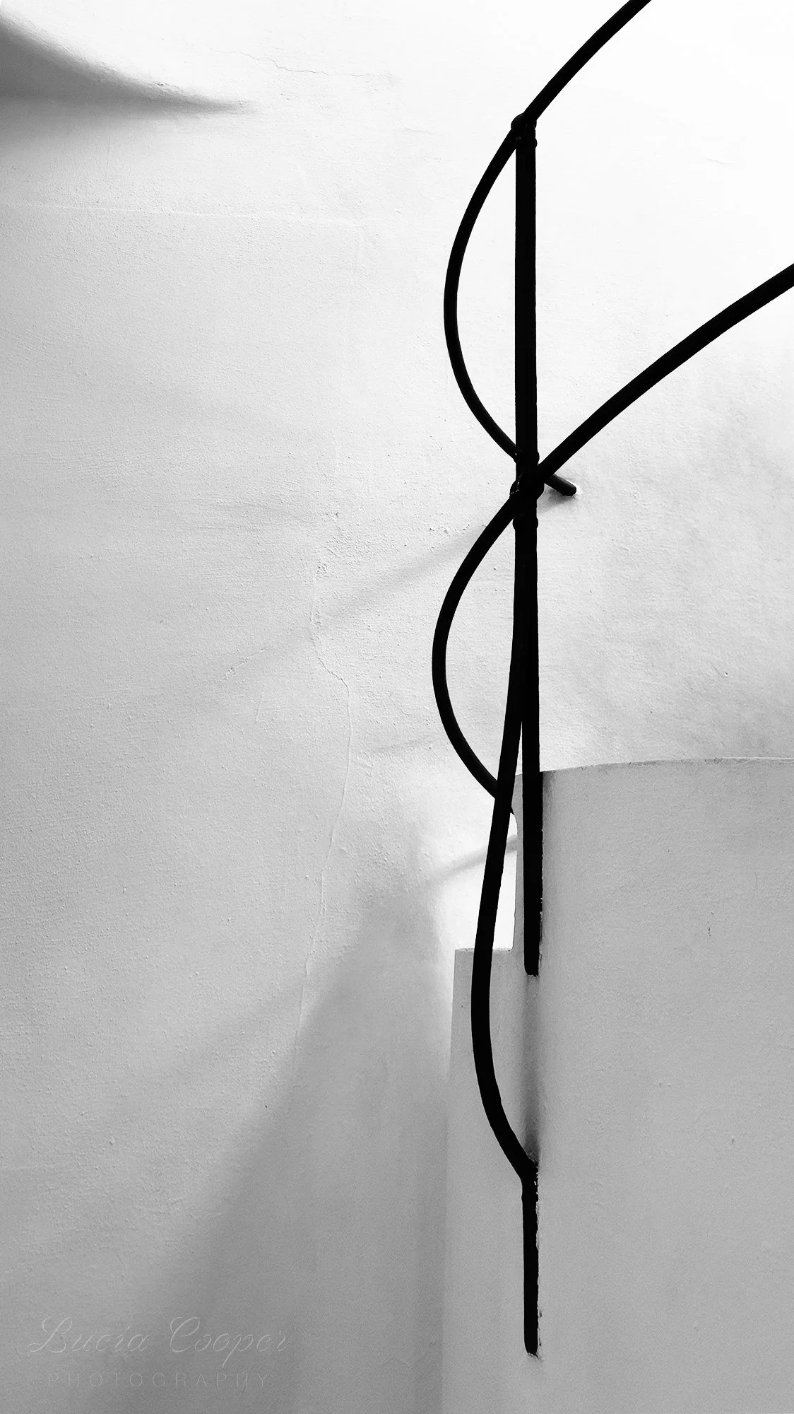 Railing by Gaudi - B&W - Portrait 9:16
