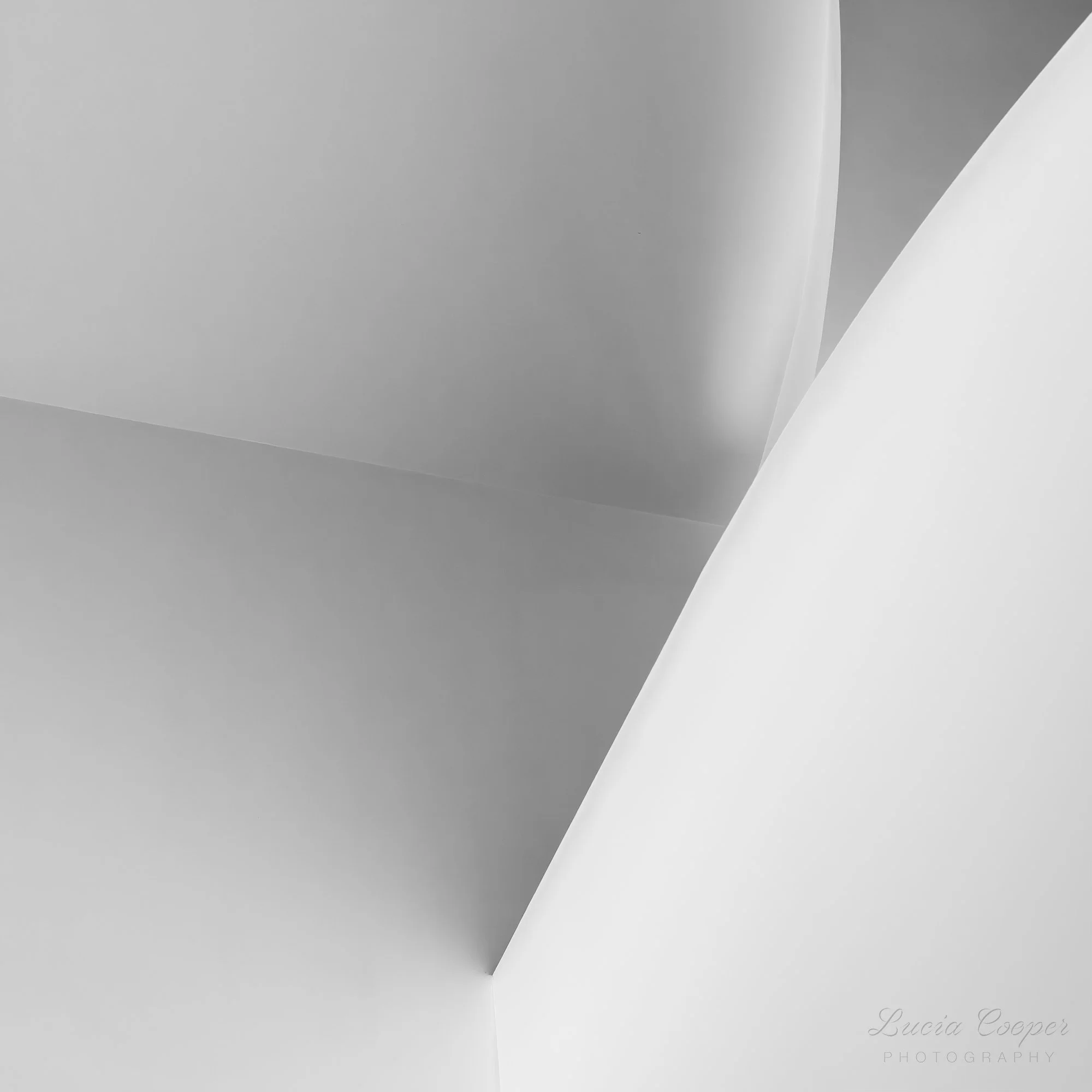 Bent - B&W - Square