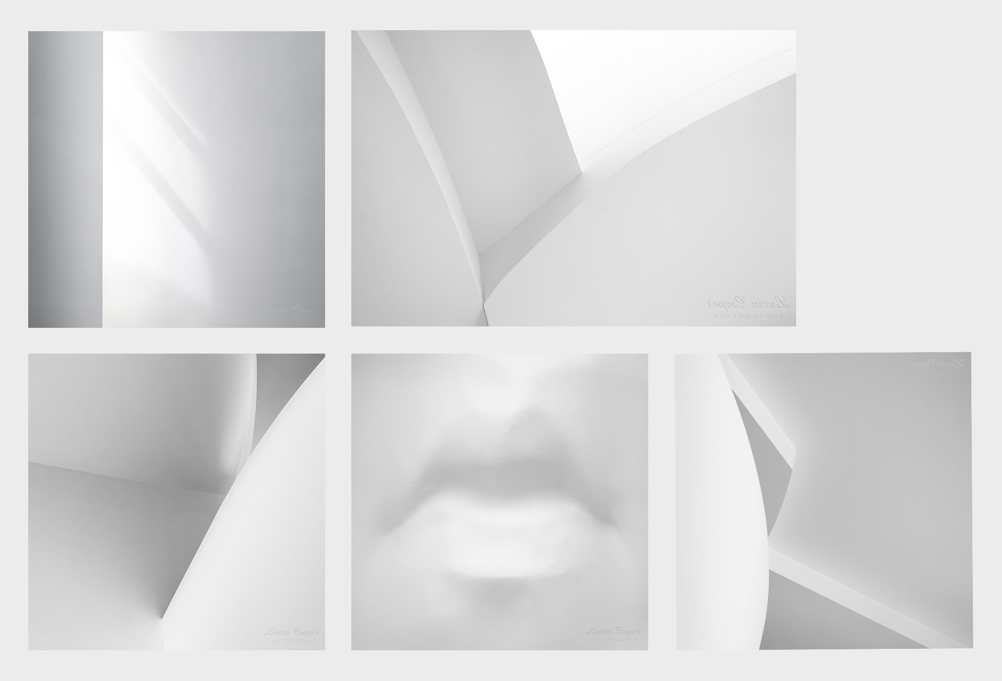 White Collection, Curves.jpg