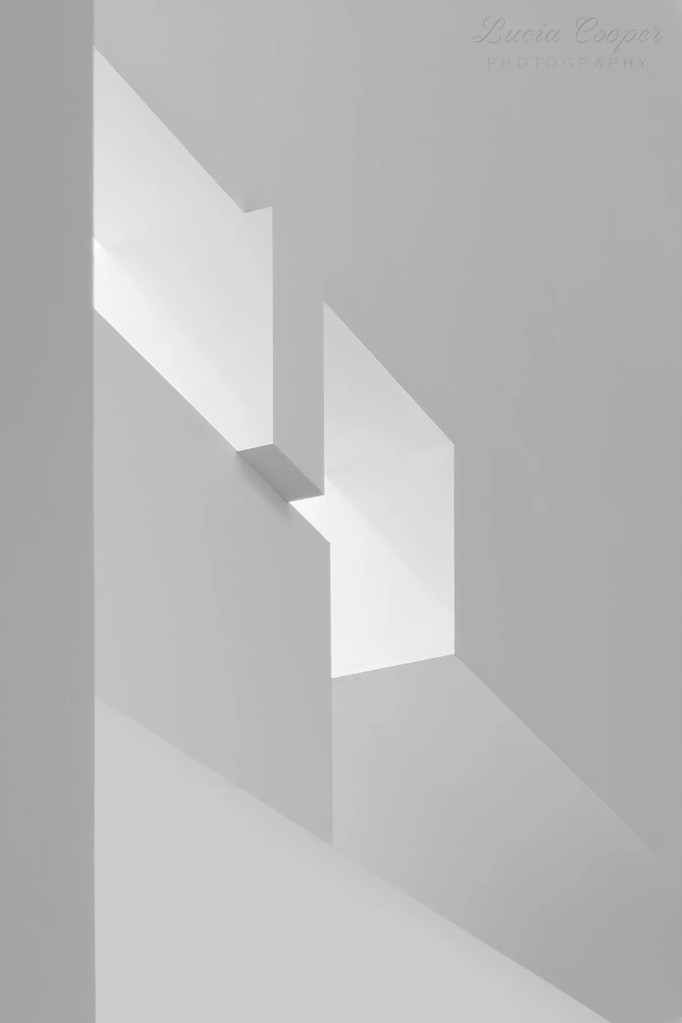 Windows - B&W - Portrait 2:3