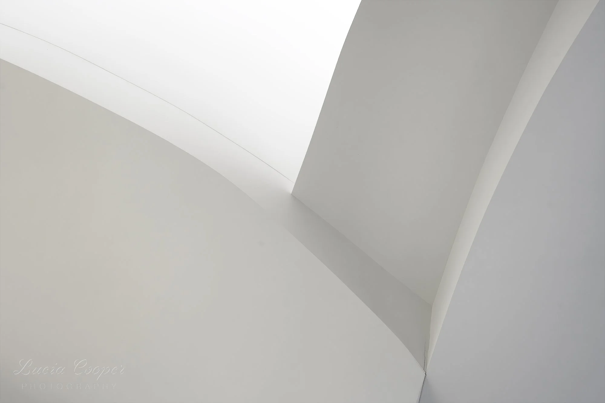 Peter B Lewis Building, Frank Gehry