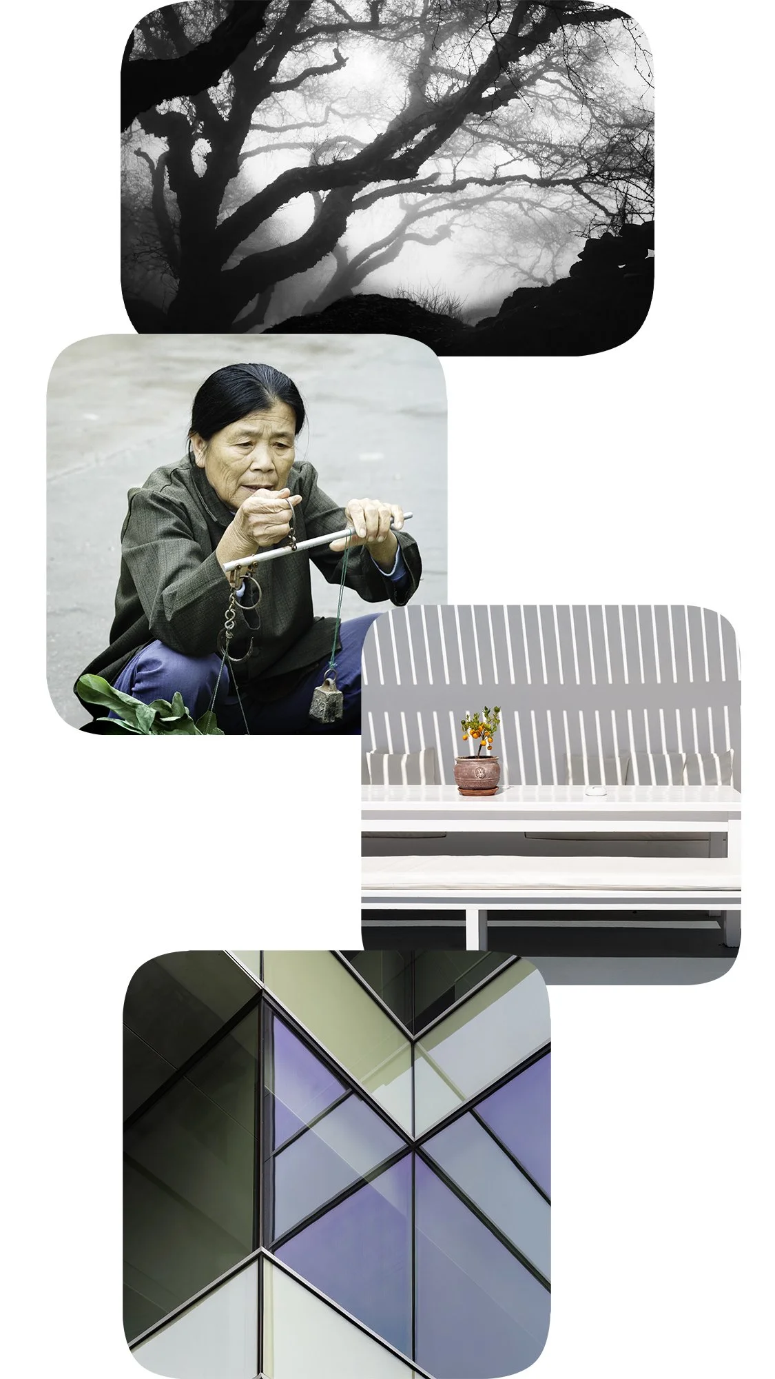 A collage of four images showing the evolution of Lucia Cooper's photographic style.