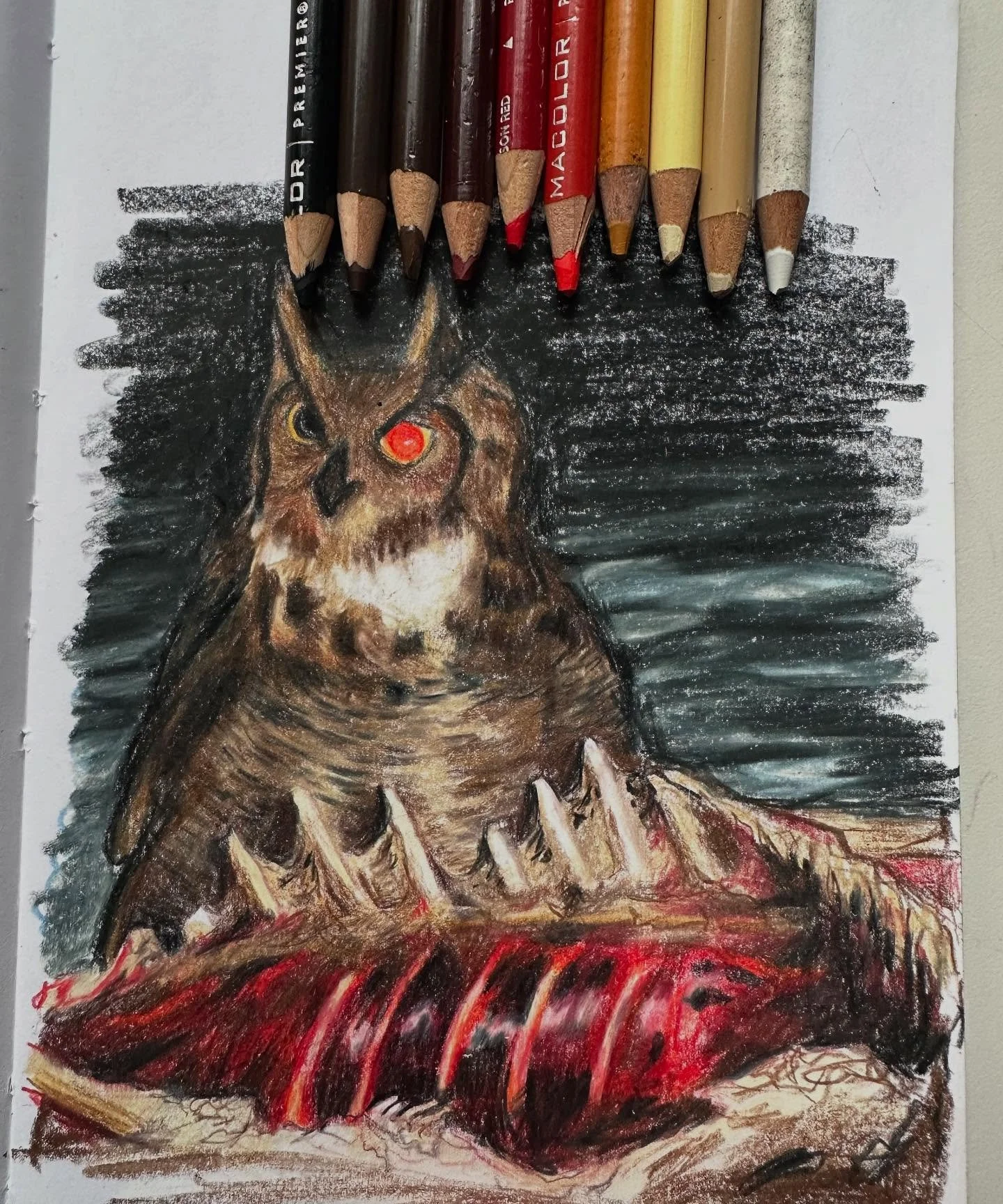 This guy has been in my Brain Drafts for 2 years. 🦉🦌
Drawn from a trail cam image. (Might do more of these? Trail cams images feel raw and authentic and unknown.)
&bull;
&bull;
&bull;
#coloredpencil #owl #trailcam #prismacolor #sketchbook