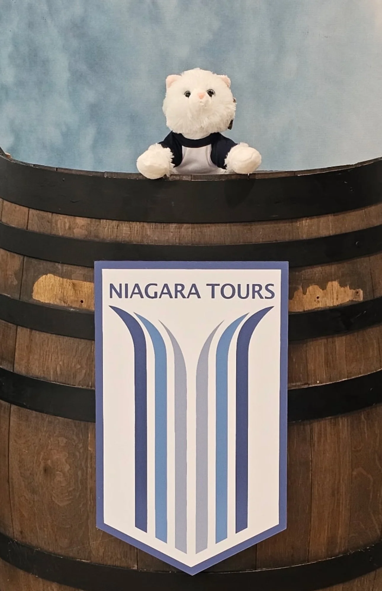 Meet Plushy Misty! 🐾 Our Mascot! Now Available at Our Store Inside the Comfort Inn