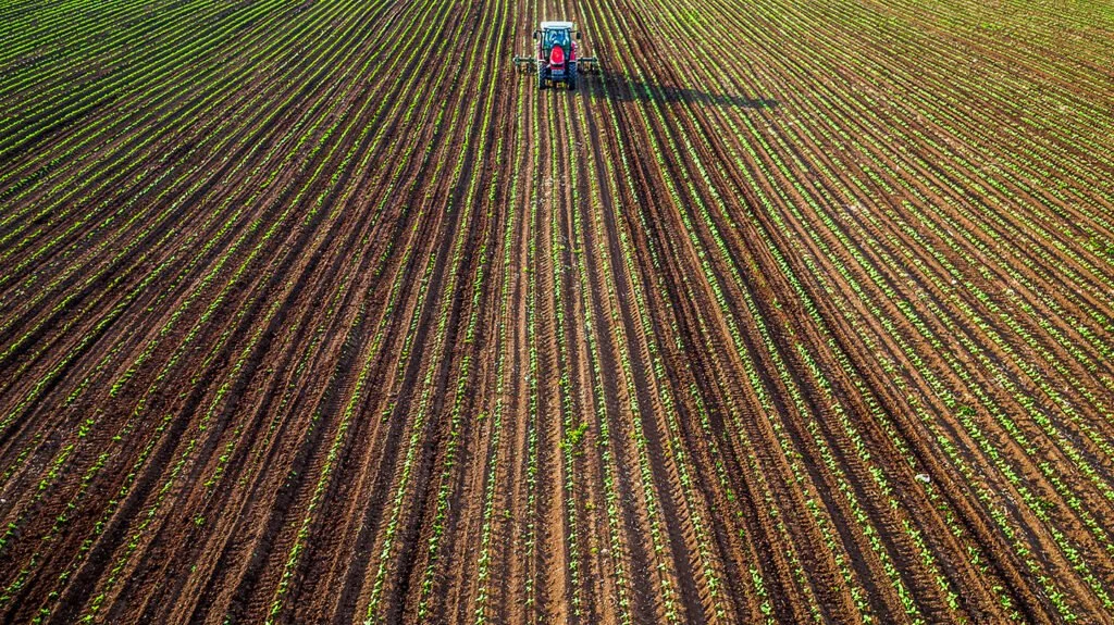 Ever Wonder Why Niagara Falls Is Surrounded by So Much Great Farmland?