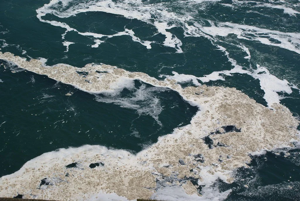 Foam at the Falls: What Is It, and Why Is It There? (Hint: It’s Not Pollution!)
