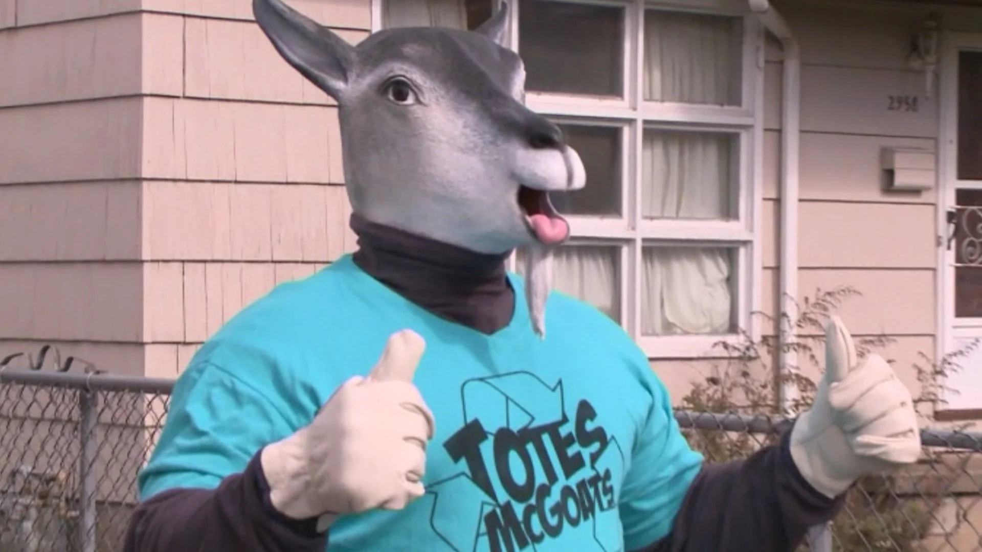 Totes McGoats: A Recent Chapter of the Timeless Weirdness of Niagara Falls