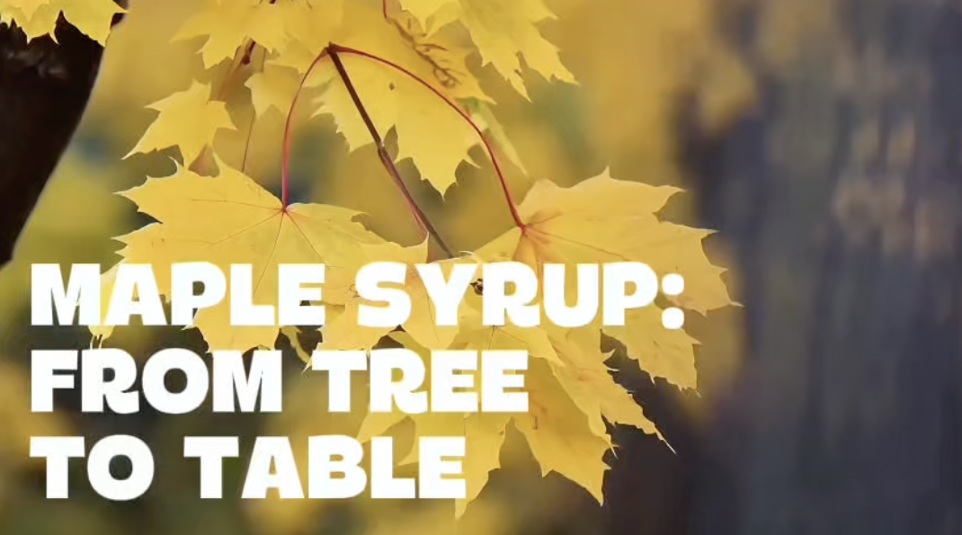 🍁 PURE MAPLE GOODNESS HAS ARRIVED AT NIAGARA LAND SHOPS 🍁