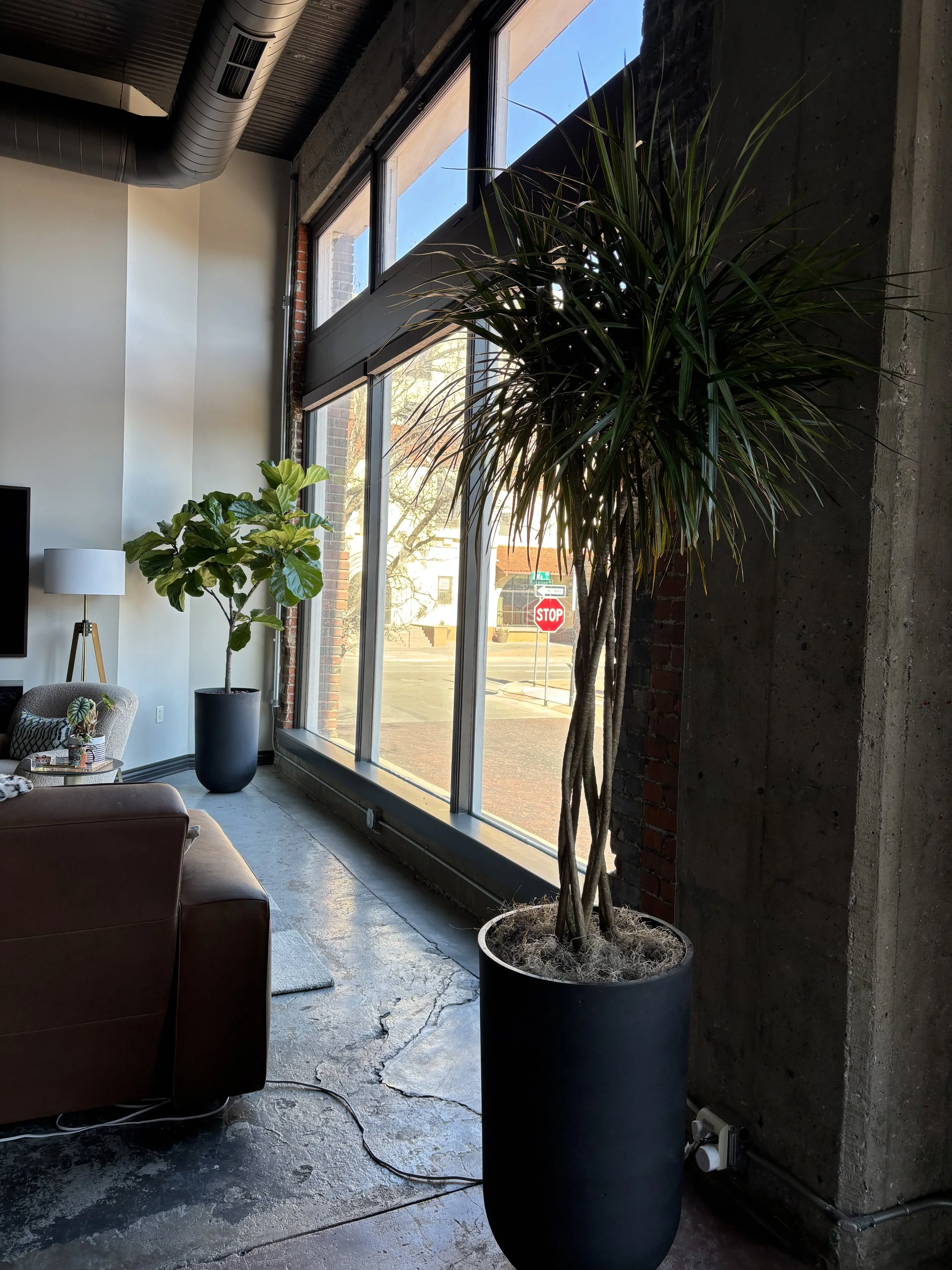 Interior view of a modern industrial-style room with large windows, featuring green indoor plants in black pots, a brown leather sofa, a small side table with a white lamp, and a cracked concrete floor with an exposed brick and concrete wall.