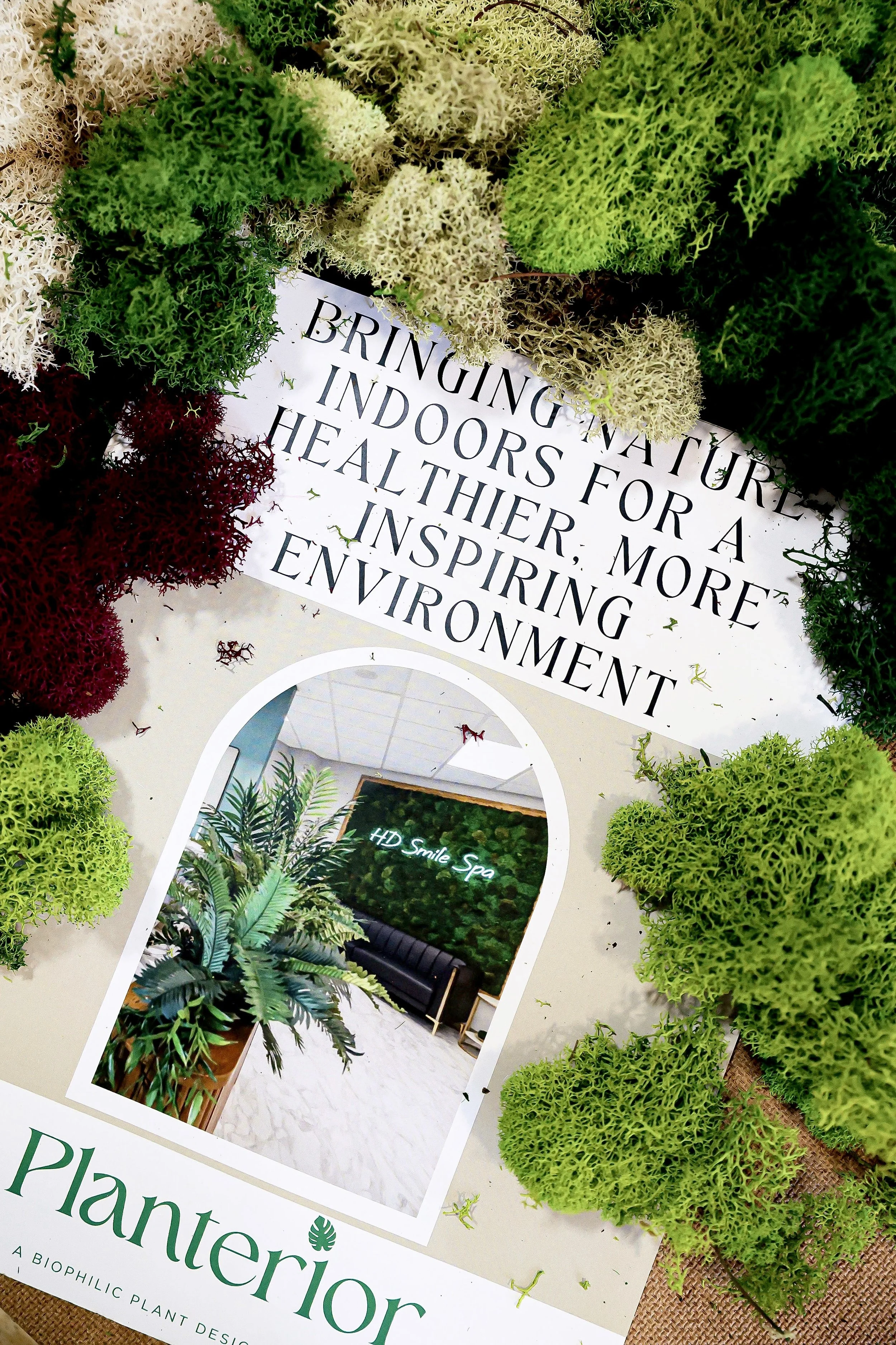 A brochure about a biophilic plant design called 'Planteriors' surrounded by various types of mosses and plants in green, red, and cream colors. The brochure features an interior space with a tall potted plant, a white wall, and a black sofa.