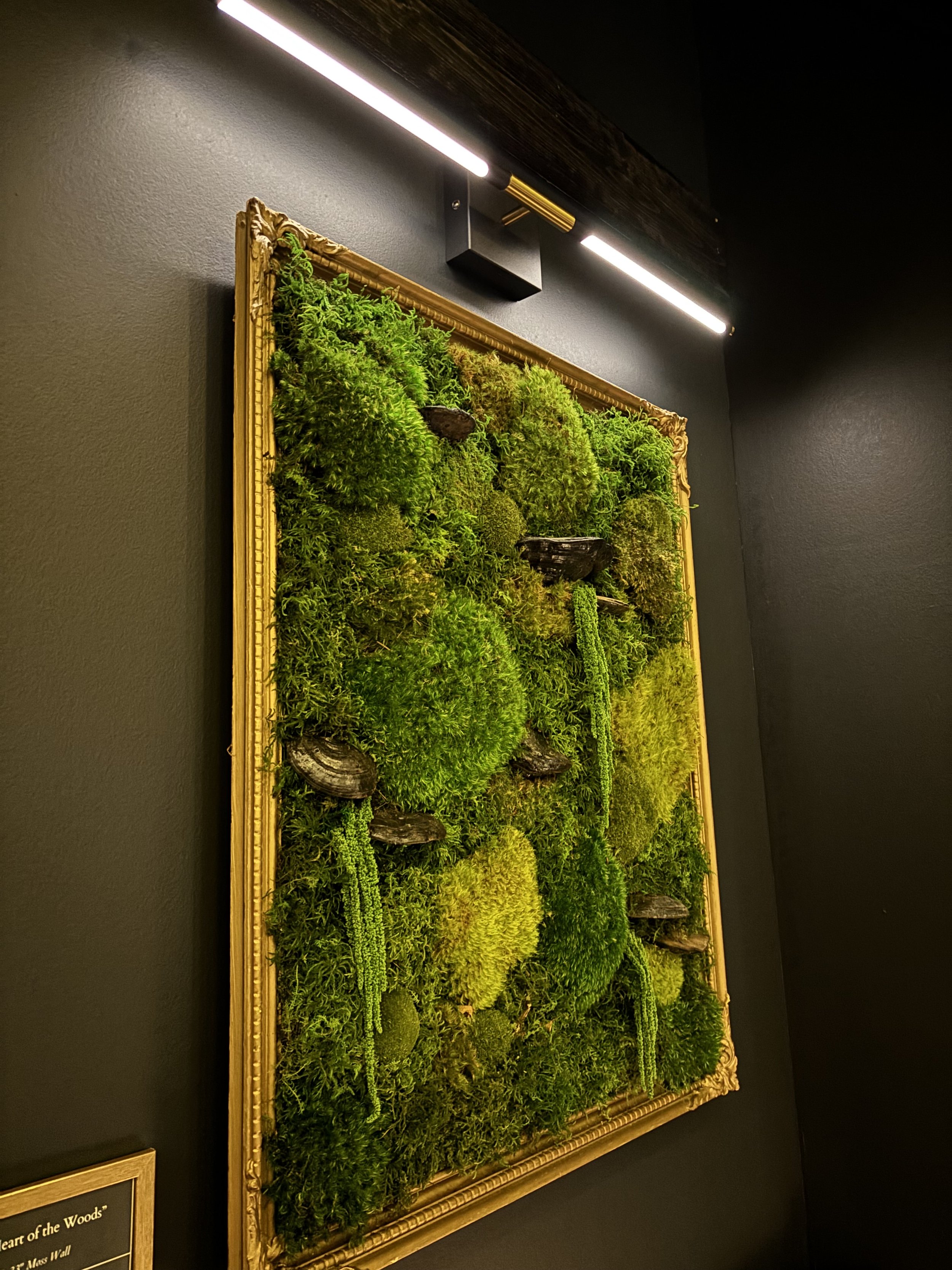 A framed moss wall art piece featuring preserved moss and plant arrangements, mounted on a dark wall under modern lighting.