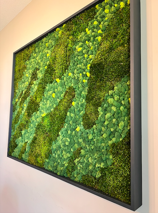 Screen Shot 2025-03-11 at 4.36.24 PM.png