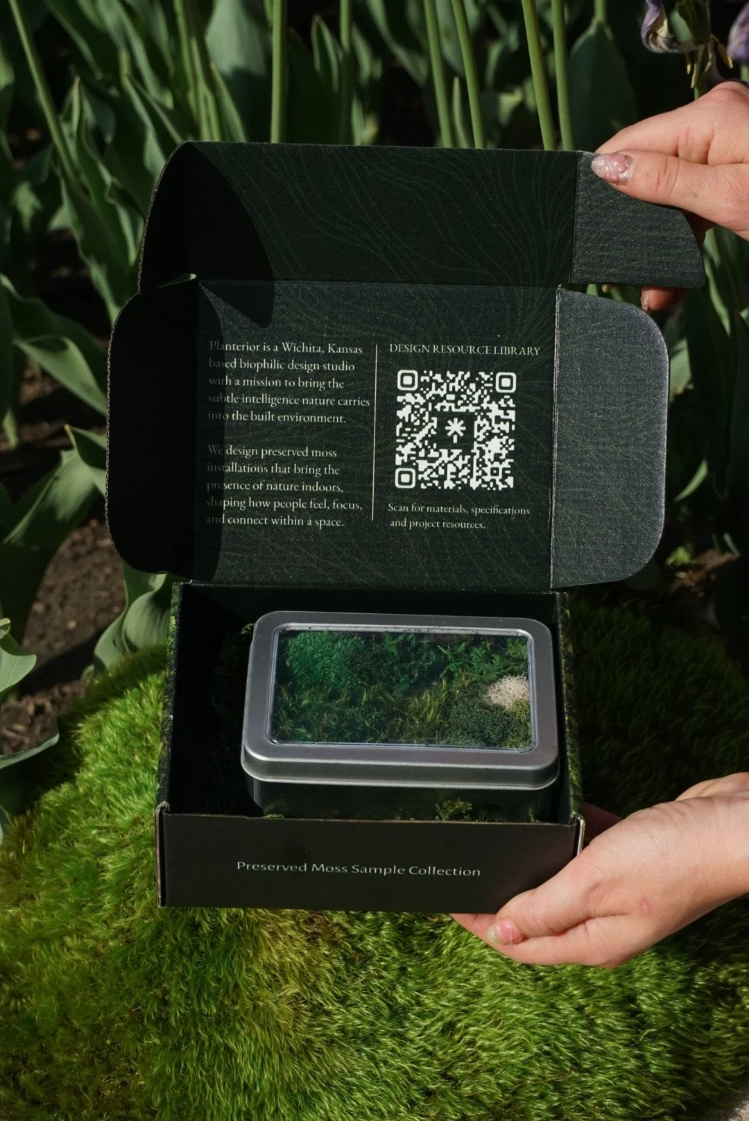 Open box of preserved moss sample collection with a mirror on top, held in front of green moss on the ground and plants in the background.