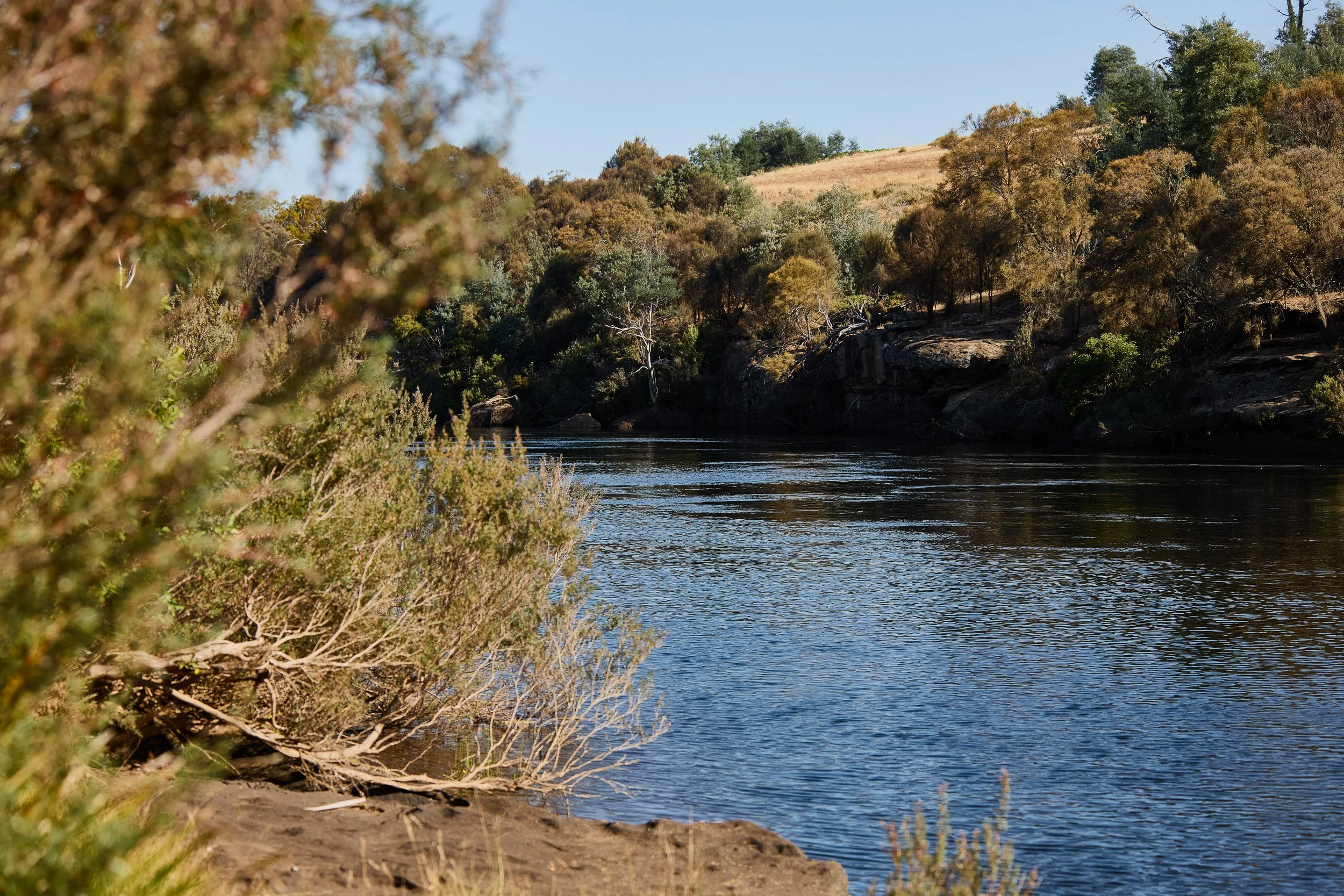 Glenelg_WebsiteShoot_Feb25_ 00072_2500px.jpg