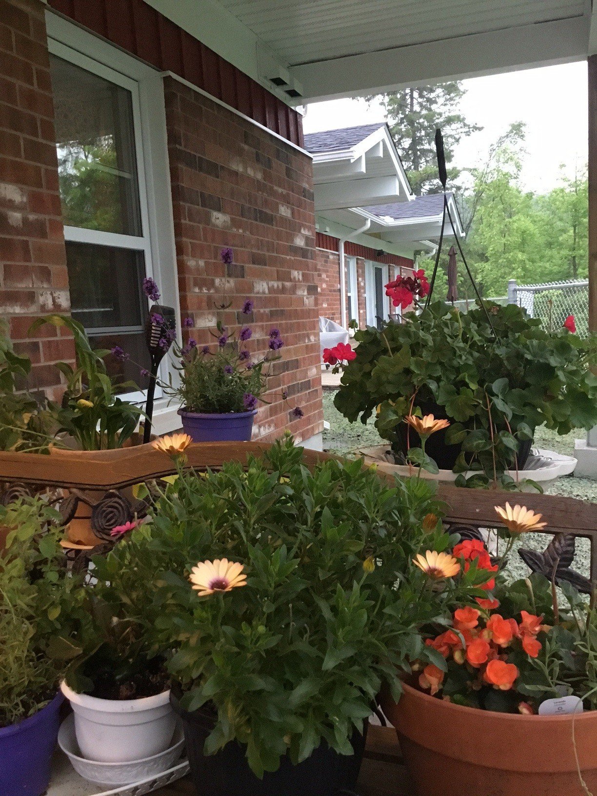 Flowers on Deck.jpg