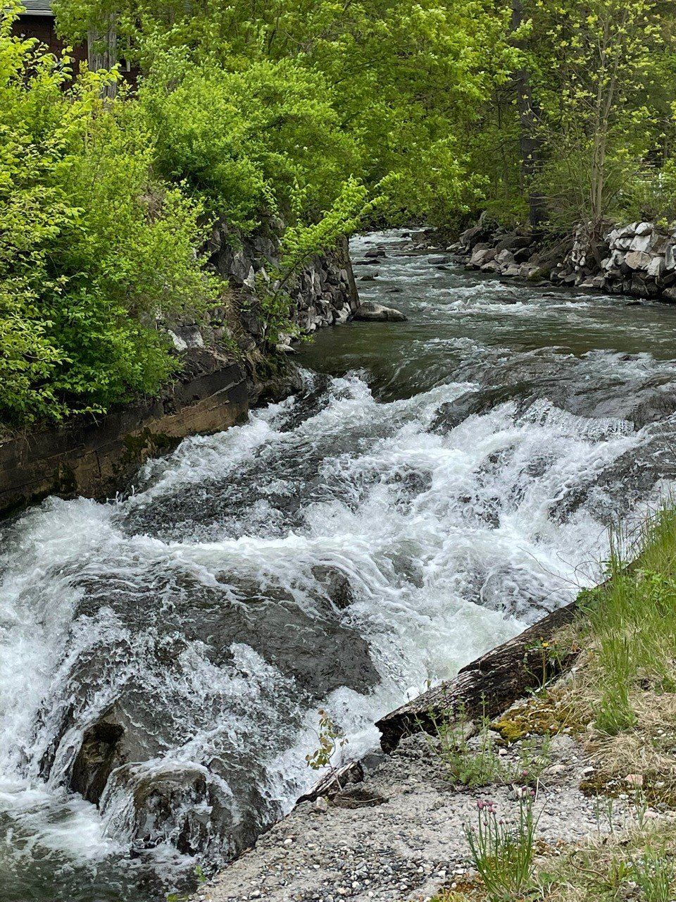 Stream.jpg
