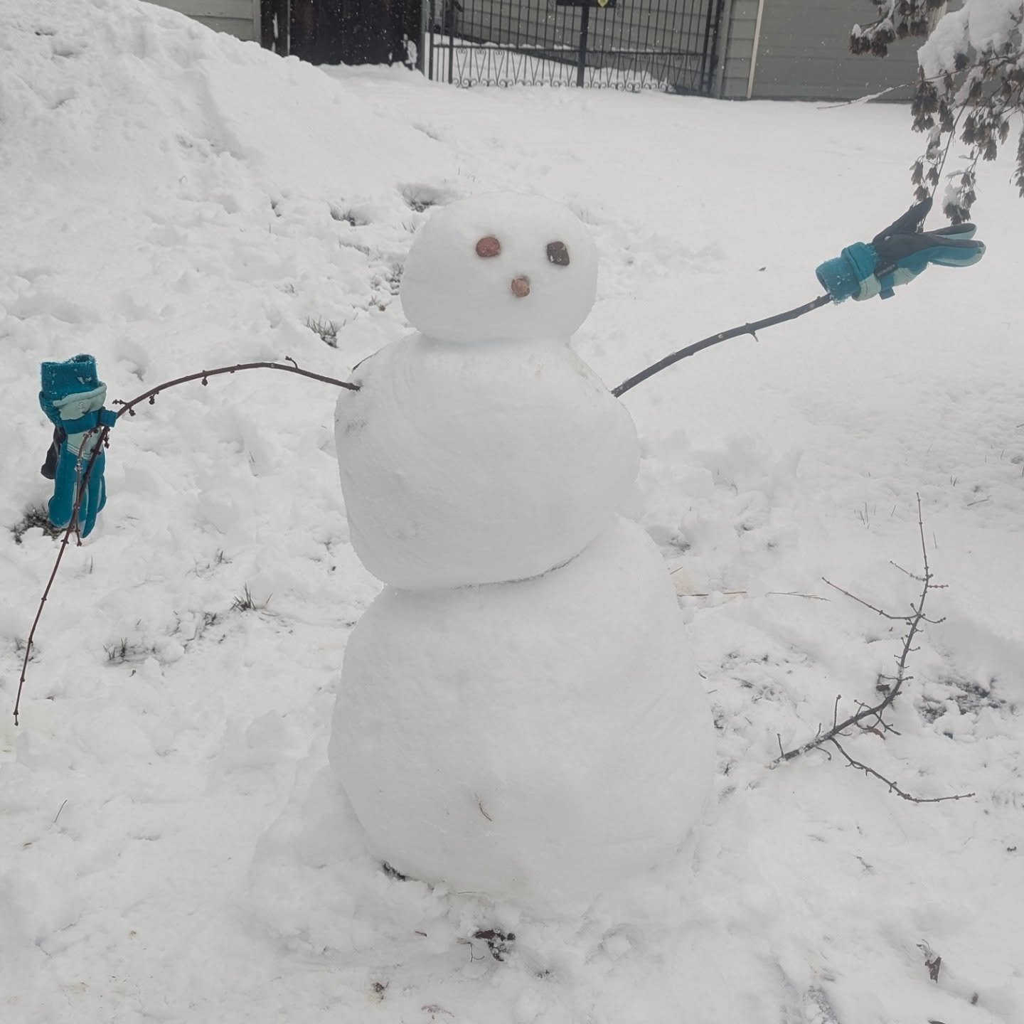 Happy snow day from Southern Oregon!! The valley floor rarely gets snow and it snowed all day today. So pretty, especially knowing it will likely be gone by Thursday.