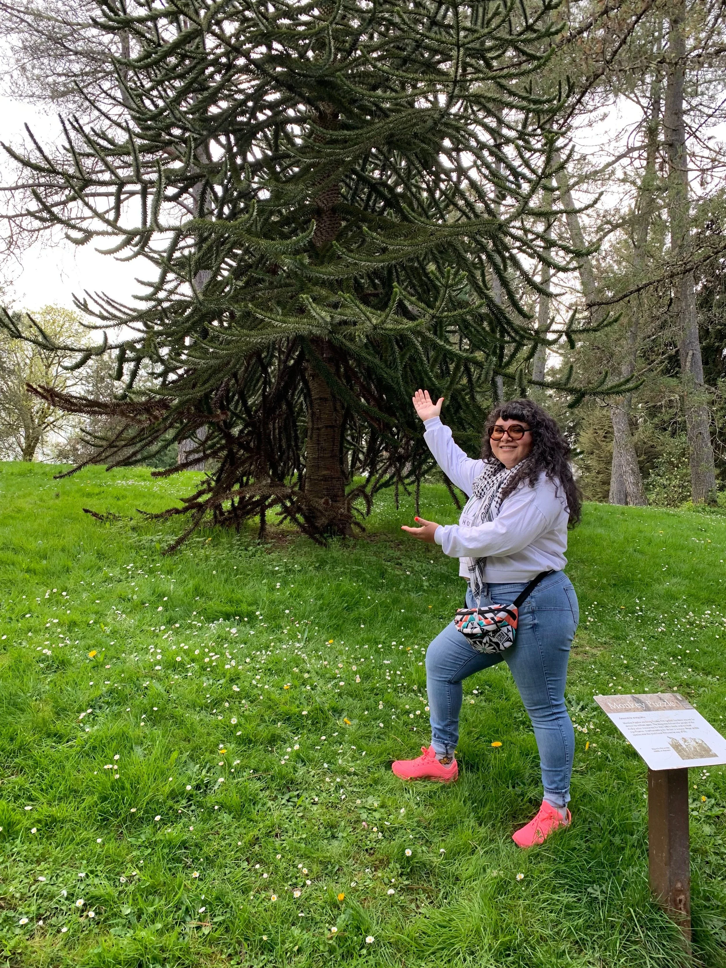 A woman with curly dark hair, wearing sunglasses, a gray jacket, blue jeans, and bright pink shoes, standing on green grass in front of a large pine tree, smiling and gesturing towards it, with a park and trees in the background.