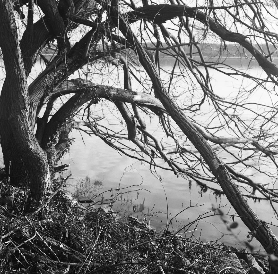 &quot;Potomac riverbank&quot;: photo, J. H. O'Brien