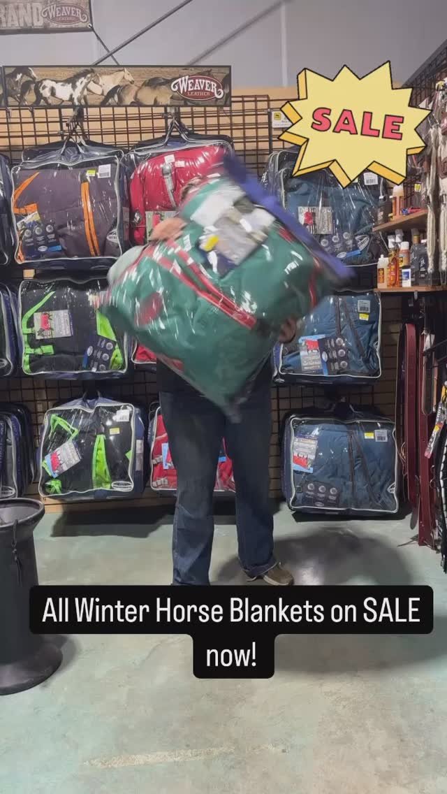 All Weatherbeeta winter horse blankets on sale now!
