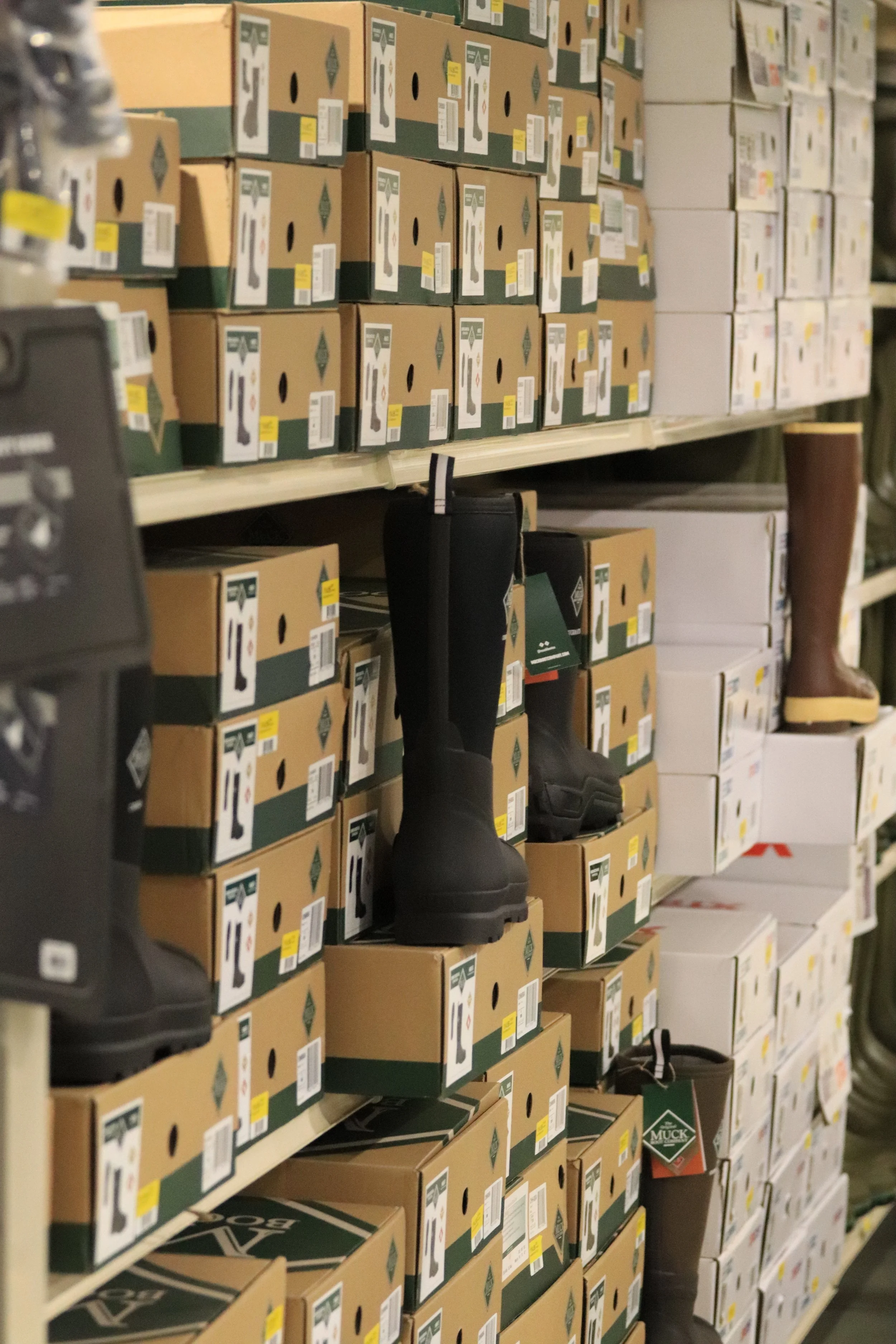 Display shelves in a store with work boots and toolboxes on the shelves.