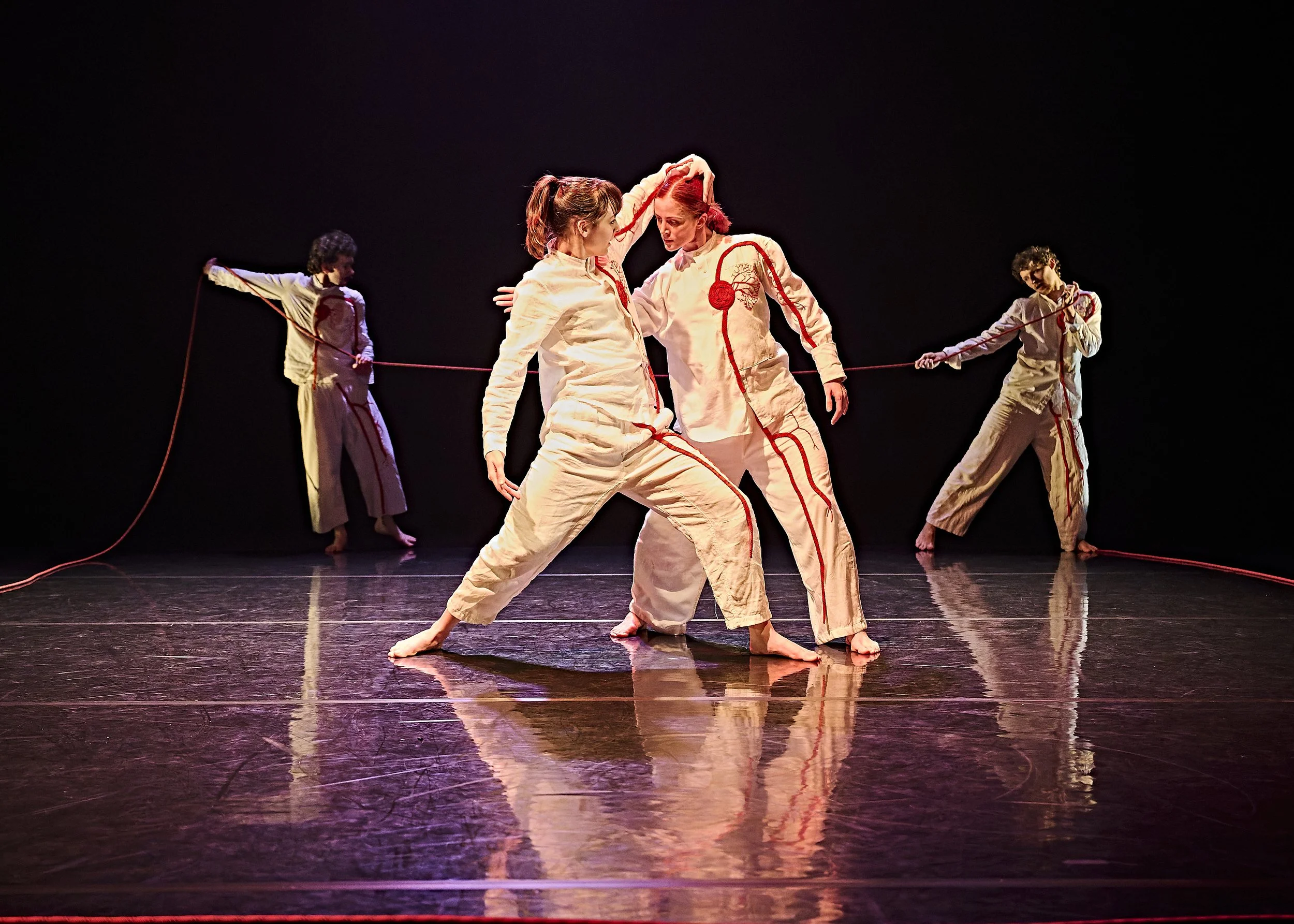  GogleddDe  
National Dance Company Wales