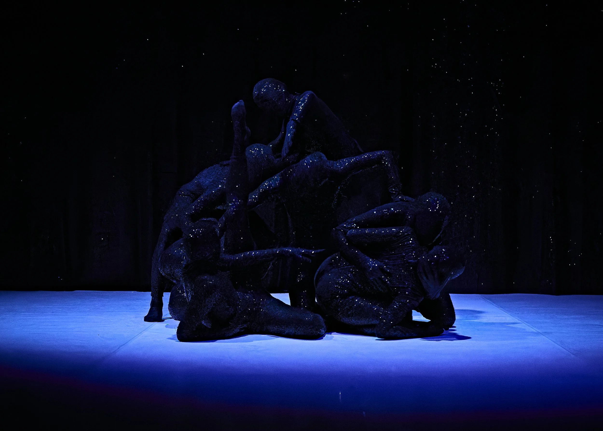  Waltz  
National Dance Company Wales