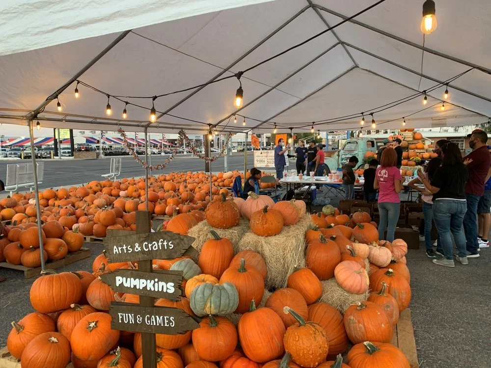Pumpkin Patch Delivery