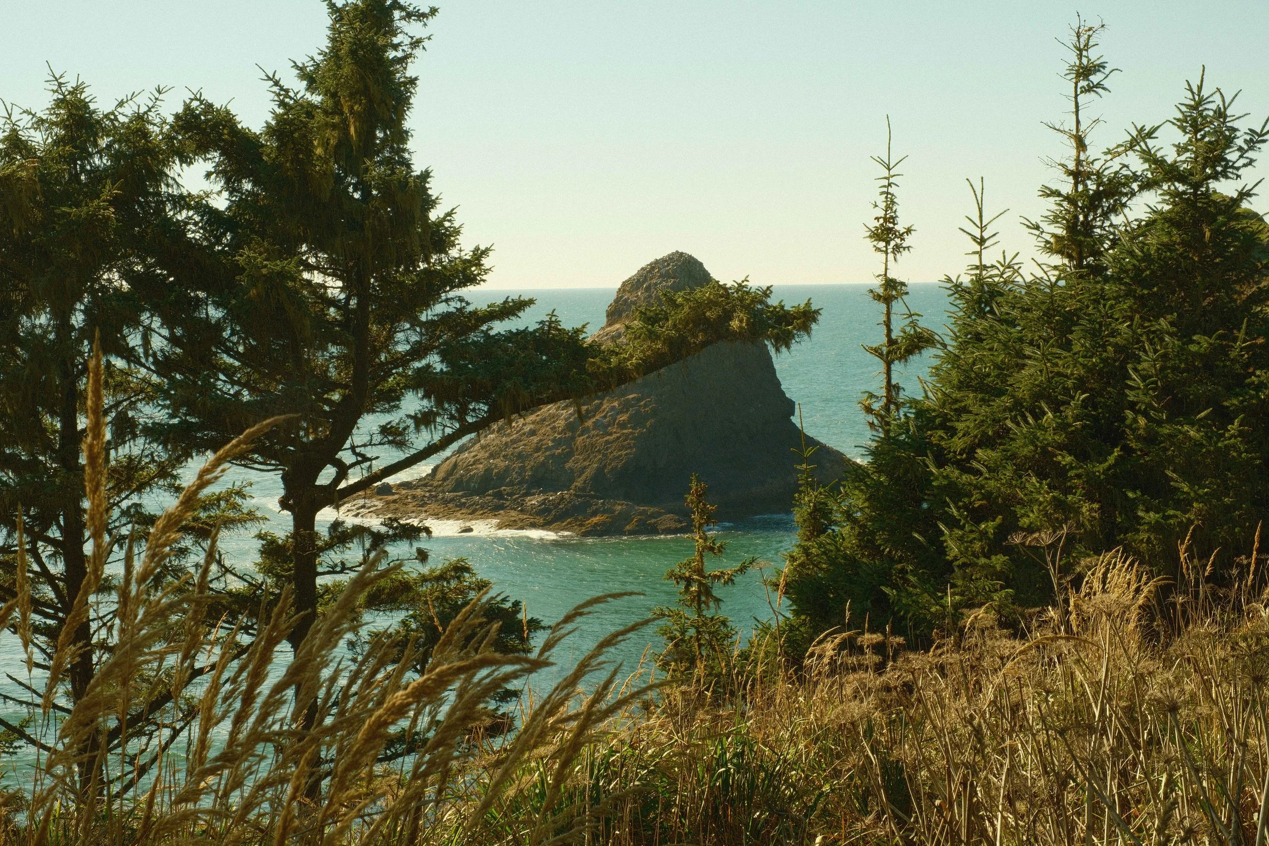 DSCF1665.jpg