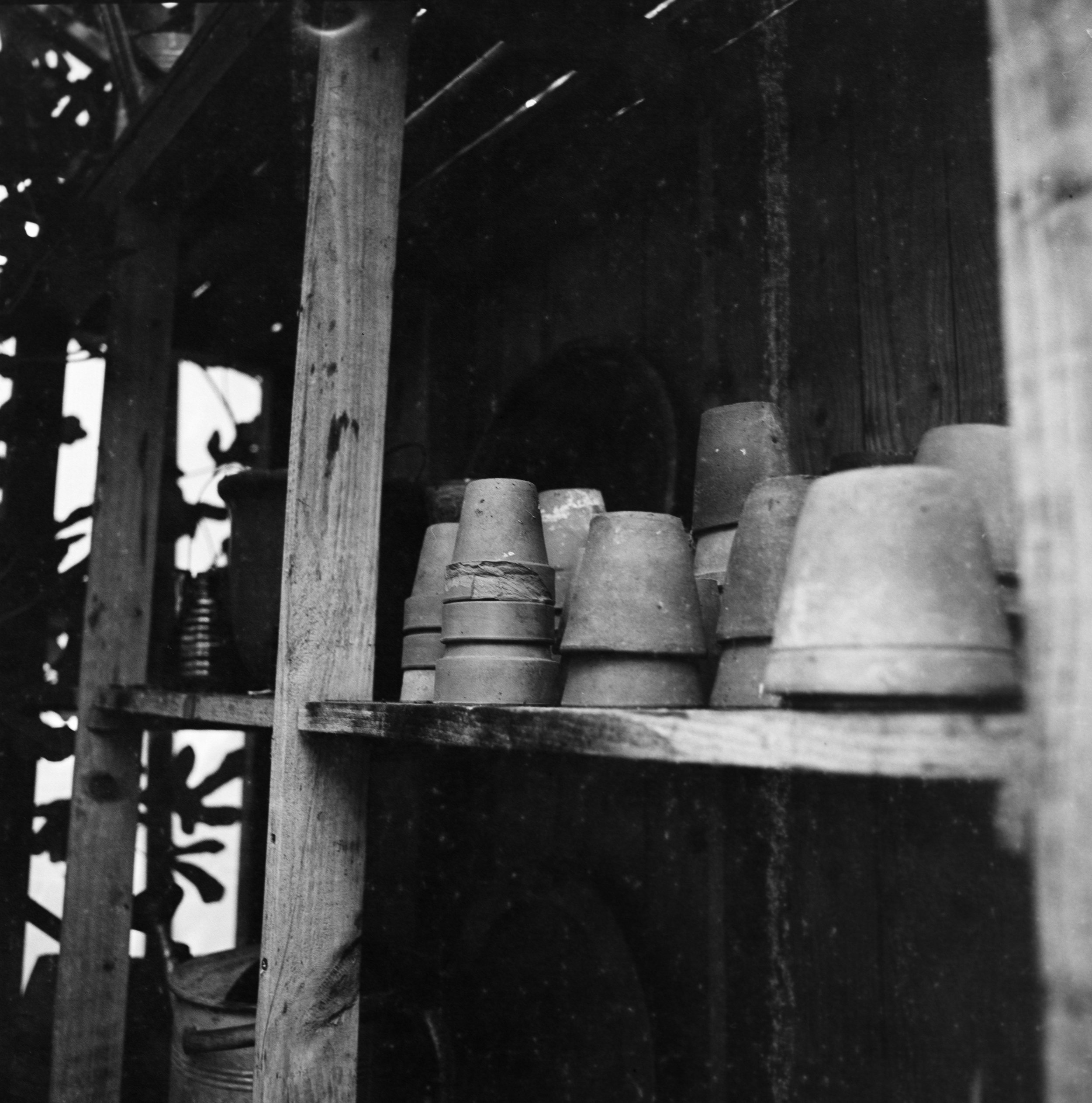 Oude terracotta potten op houten planken in tuinschuur, zwart-wit fotografie