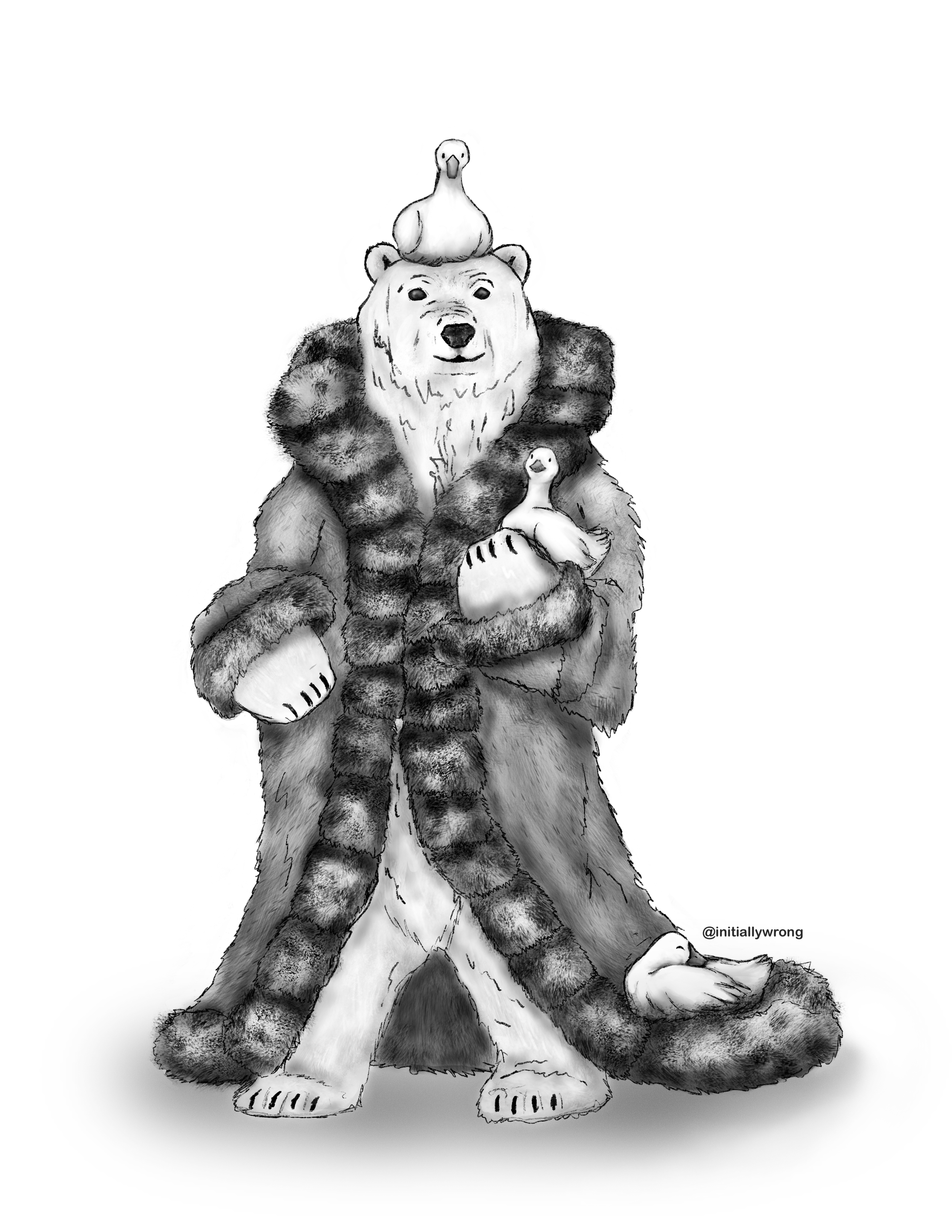 IMG_2342.png