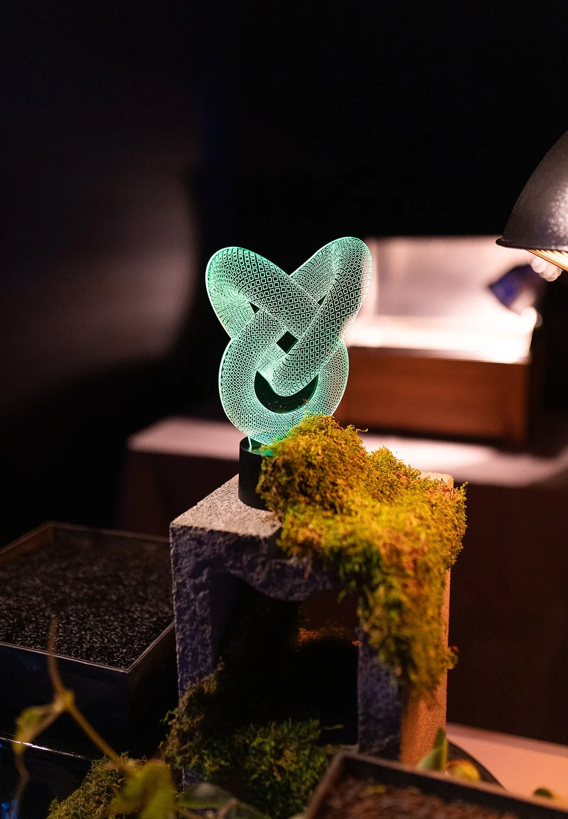 Ready Player 1 Finals-004_websize.jpg