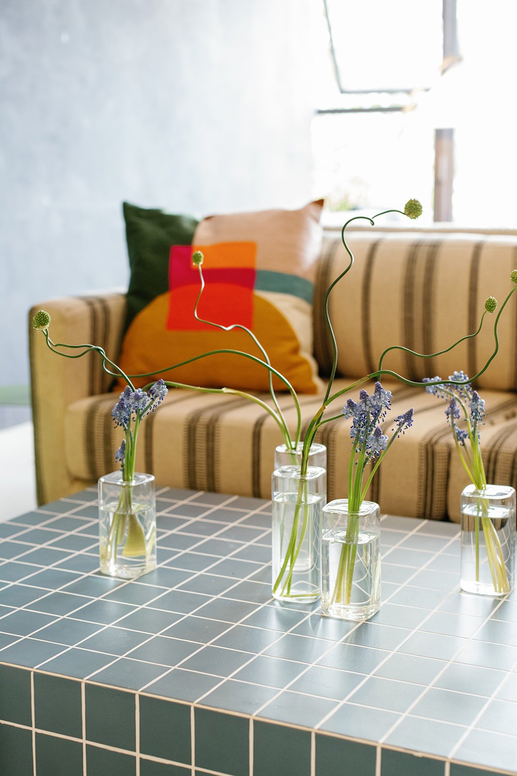 2025.03.01 Pattern Parties X Alkali Rye-145.jpg